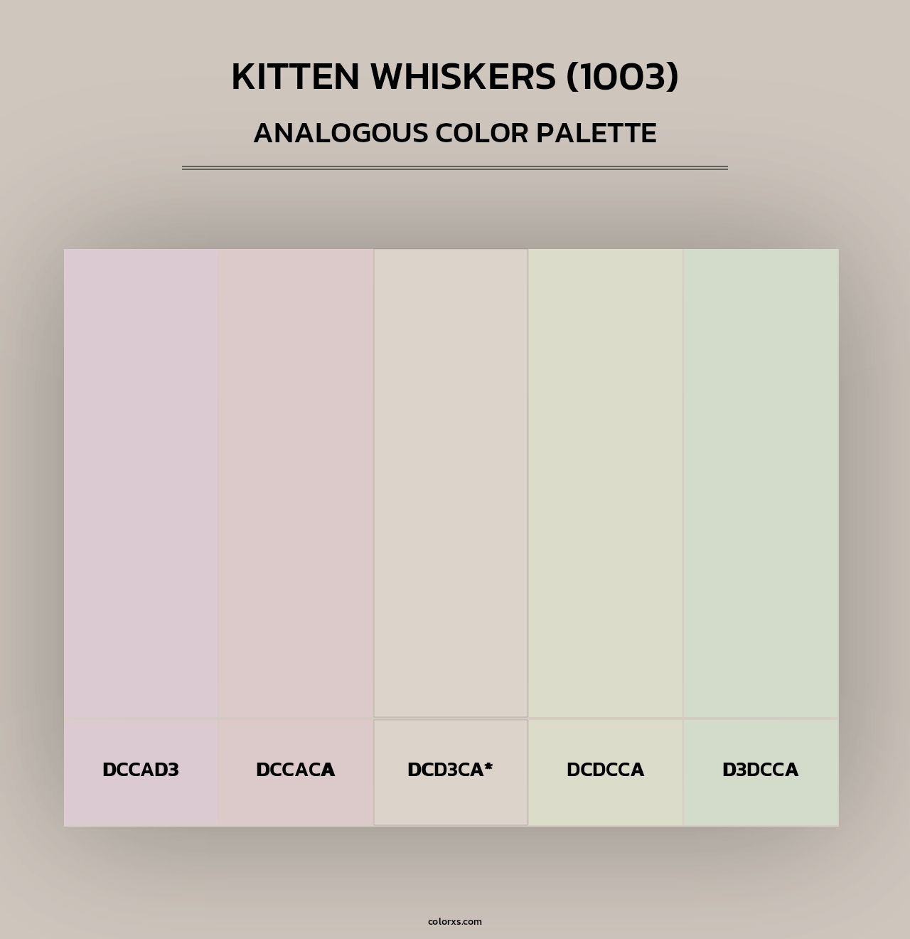 Kitten Whiskers (1003) - Analogous Color Palette