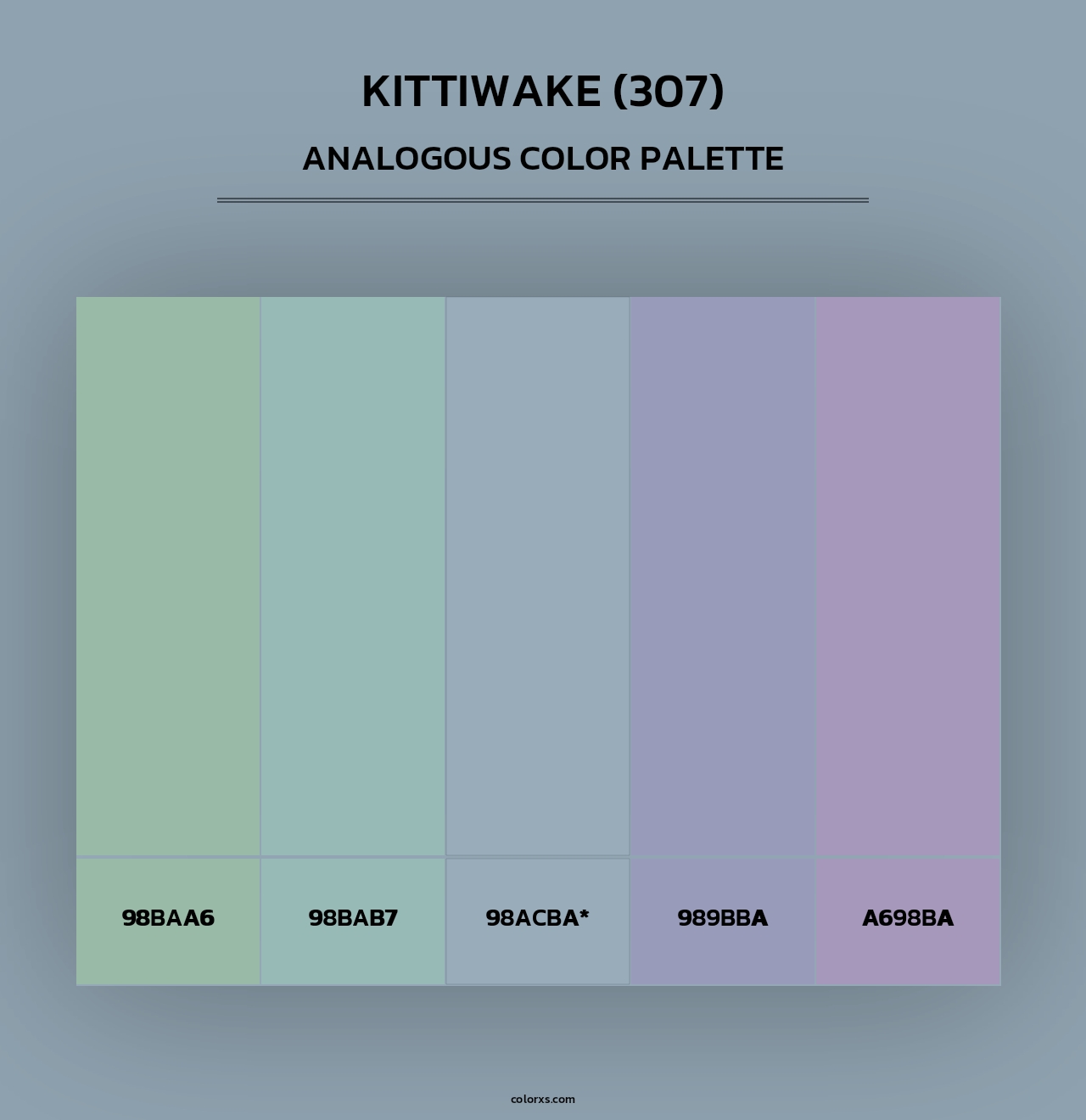 Kittiwake (307) - Analogous Color Palette