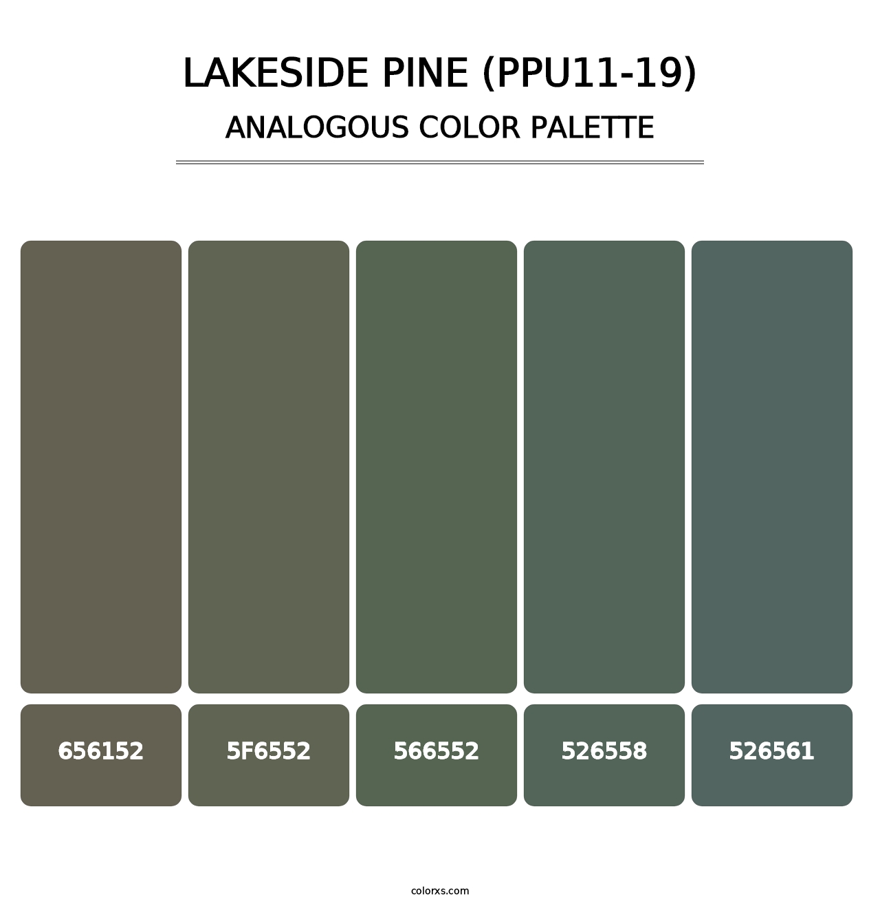 Lakeside Pine (PPU11-19) - Analogous Color Palette