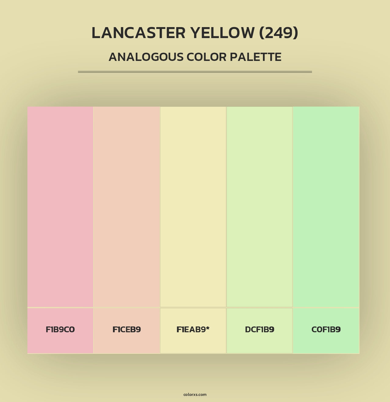 Lancaster Yellow (249) - Analogous Color Palette