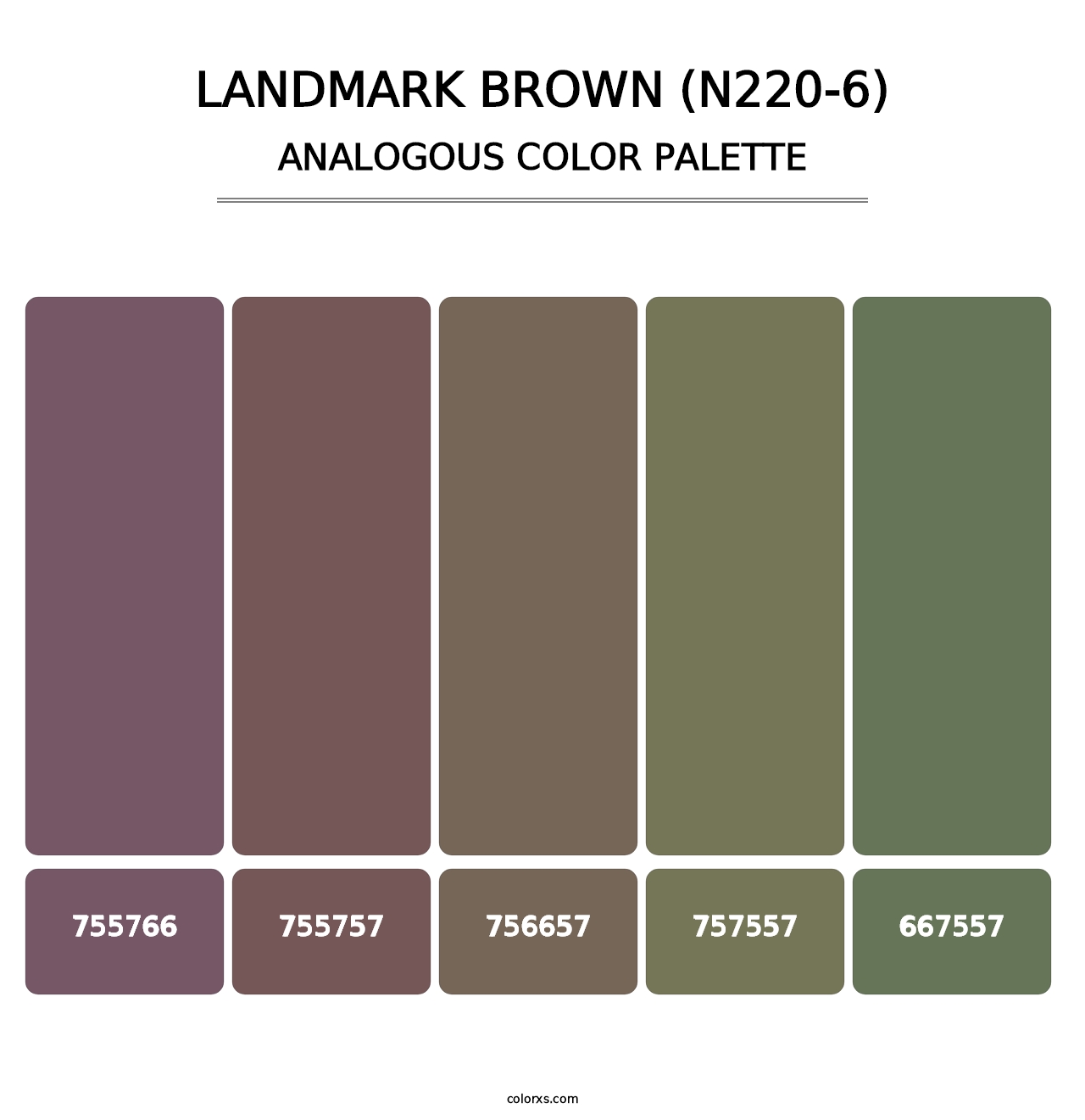 Landmark Brown (N220-6) - Analogous Color Palette