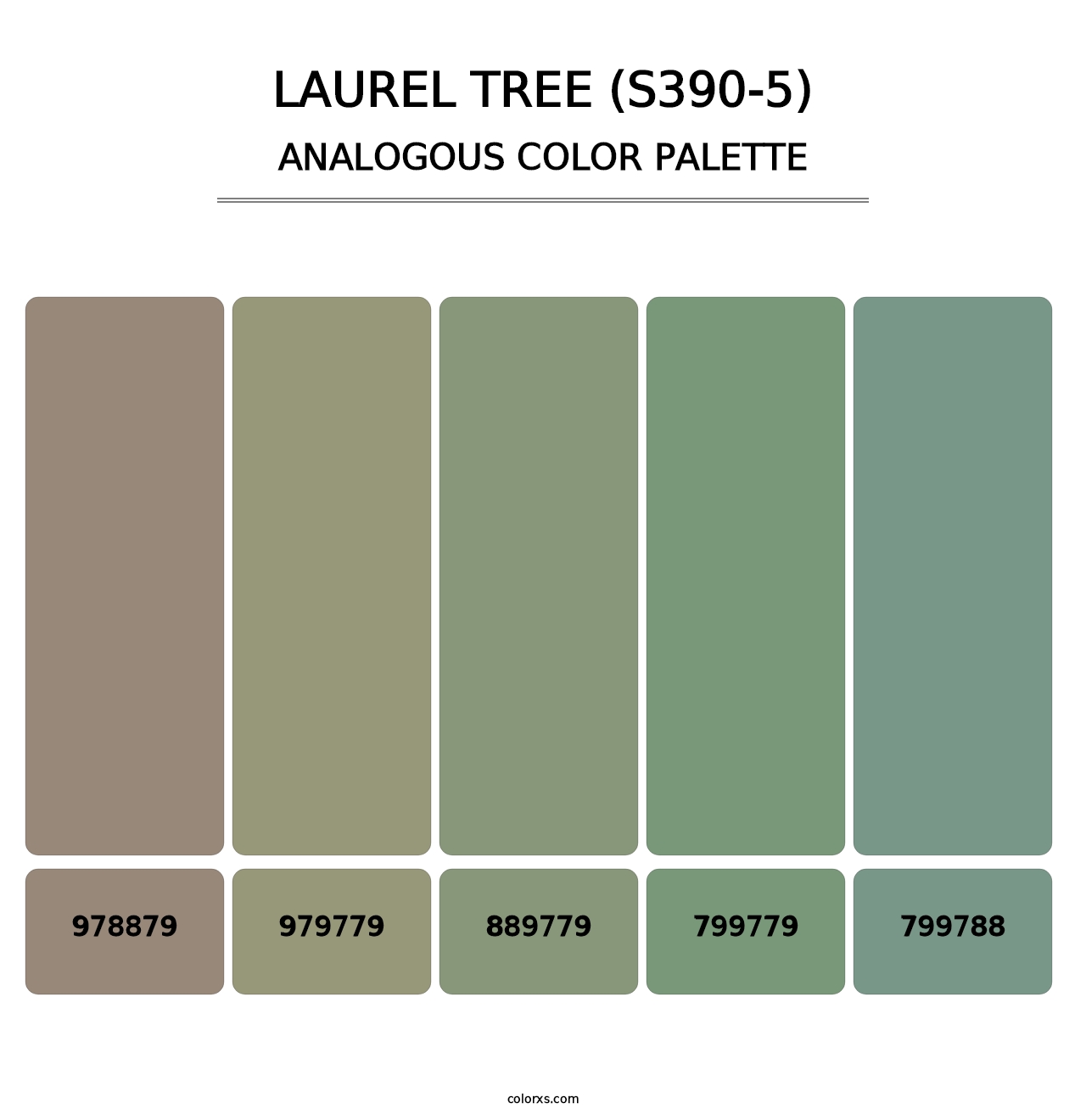 Laurel Tree (S390-5) - Analogous Color Palette