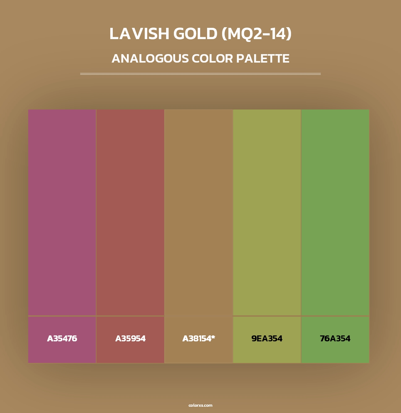 Lavish Gold (MQ2-14) - Analogous Color Palette