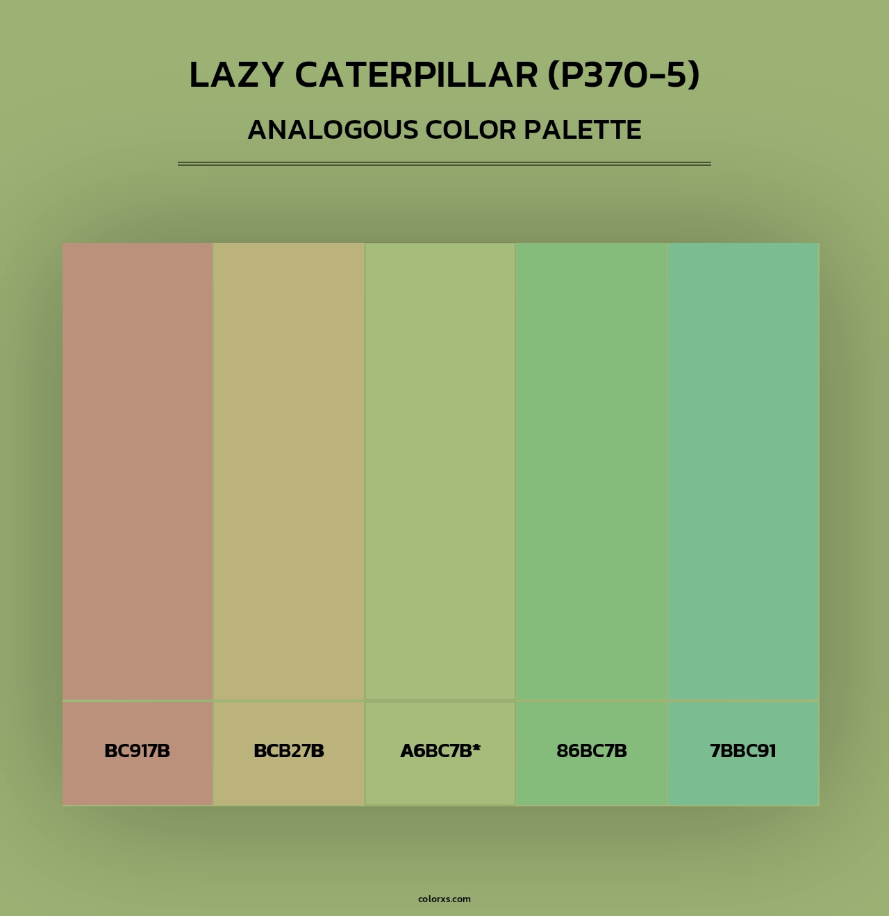 Lazy Caterpillar (P370-5) - Analogous Color Palette
