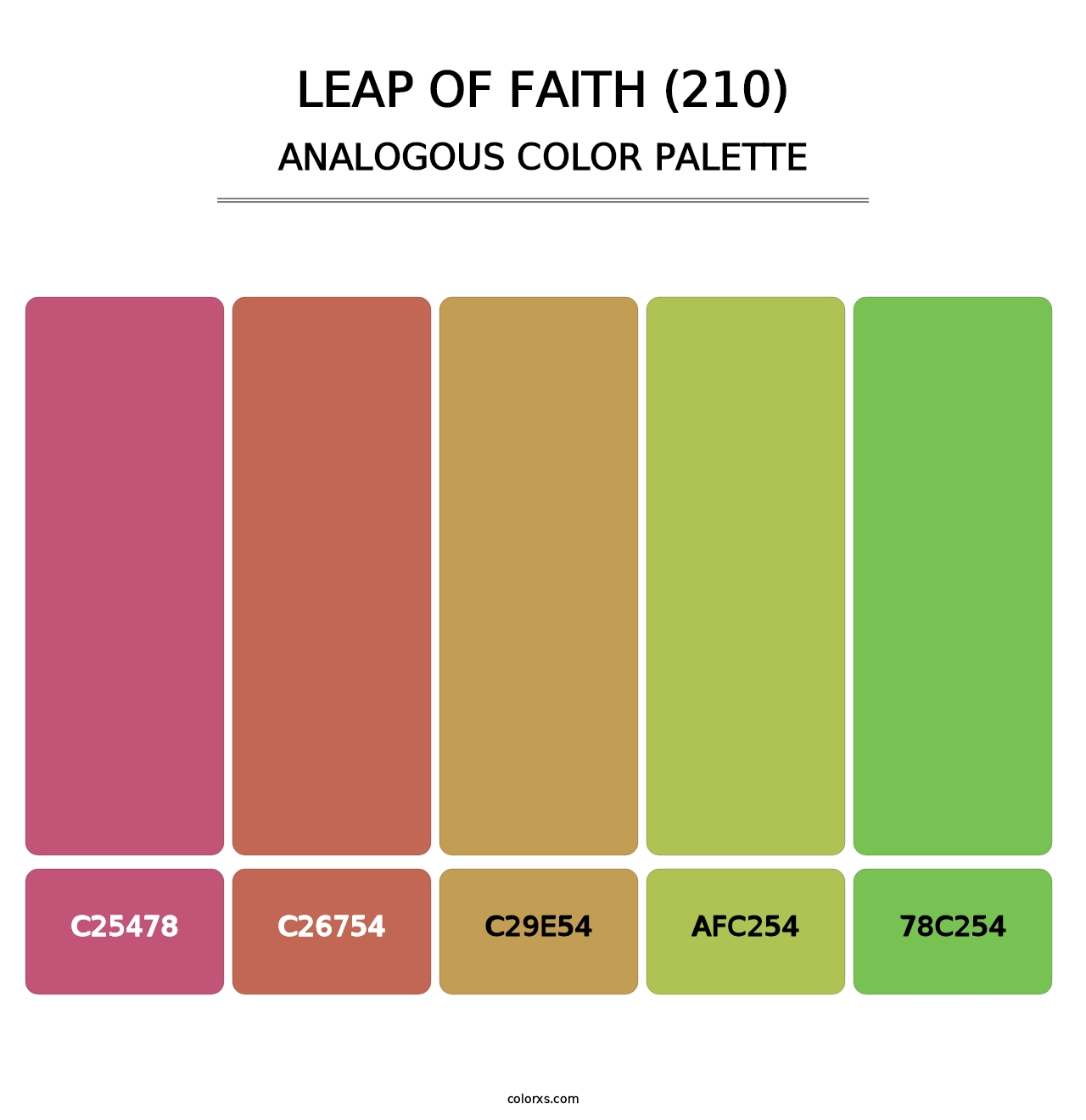 Leap of Faith (210) - Analogous Color Palette