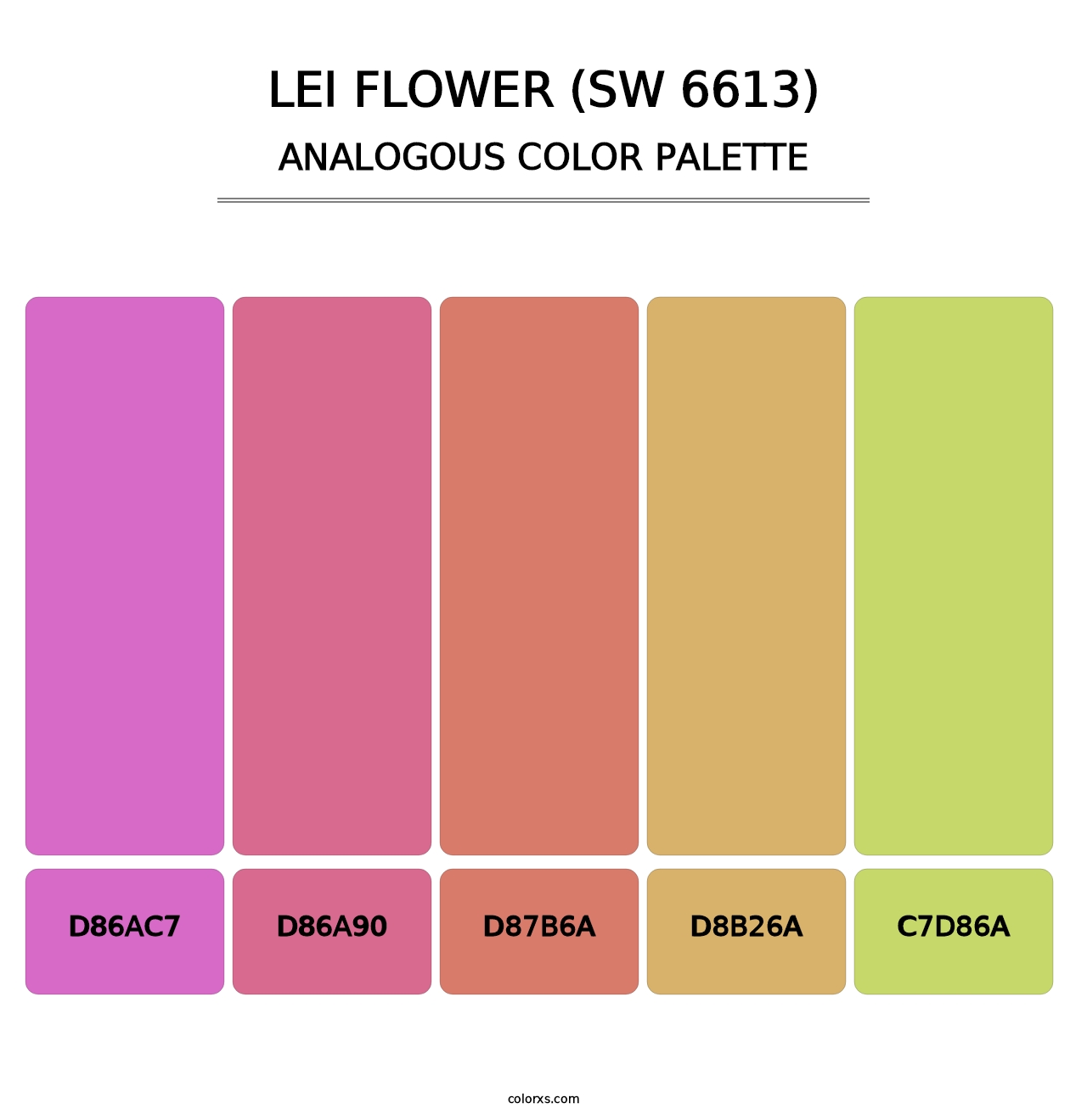 Lei Flower (SW 6613) - Analogous Color Palette