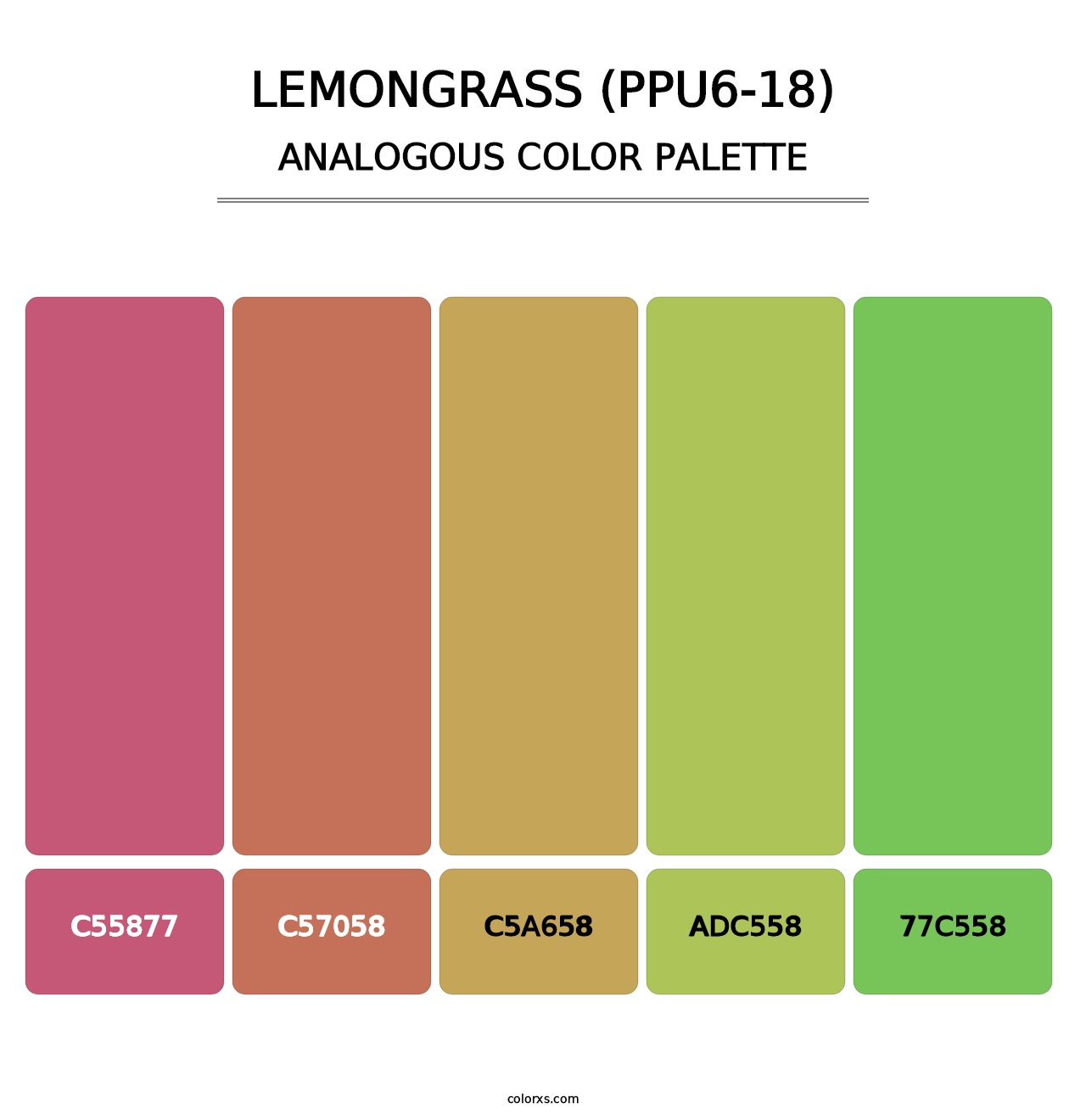 Lemongrass (PPU6-18) - Analogous Color Palette
