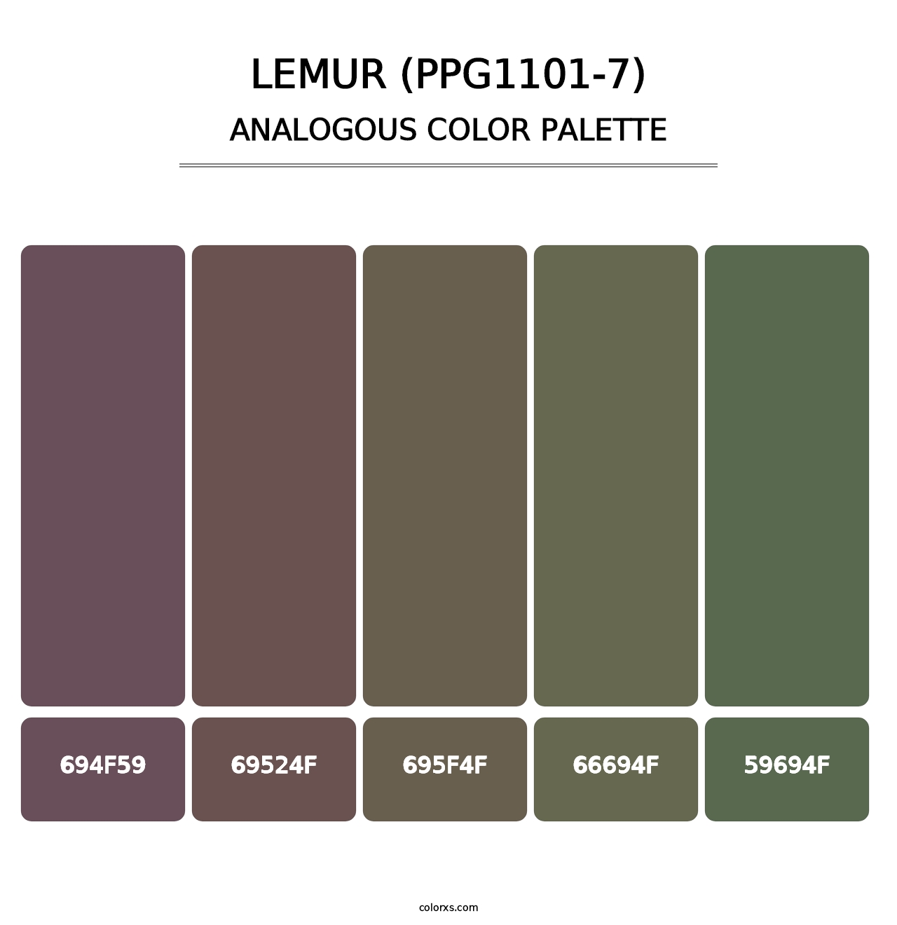 Lemur (PPG1101-7) - Analogous Color Palette