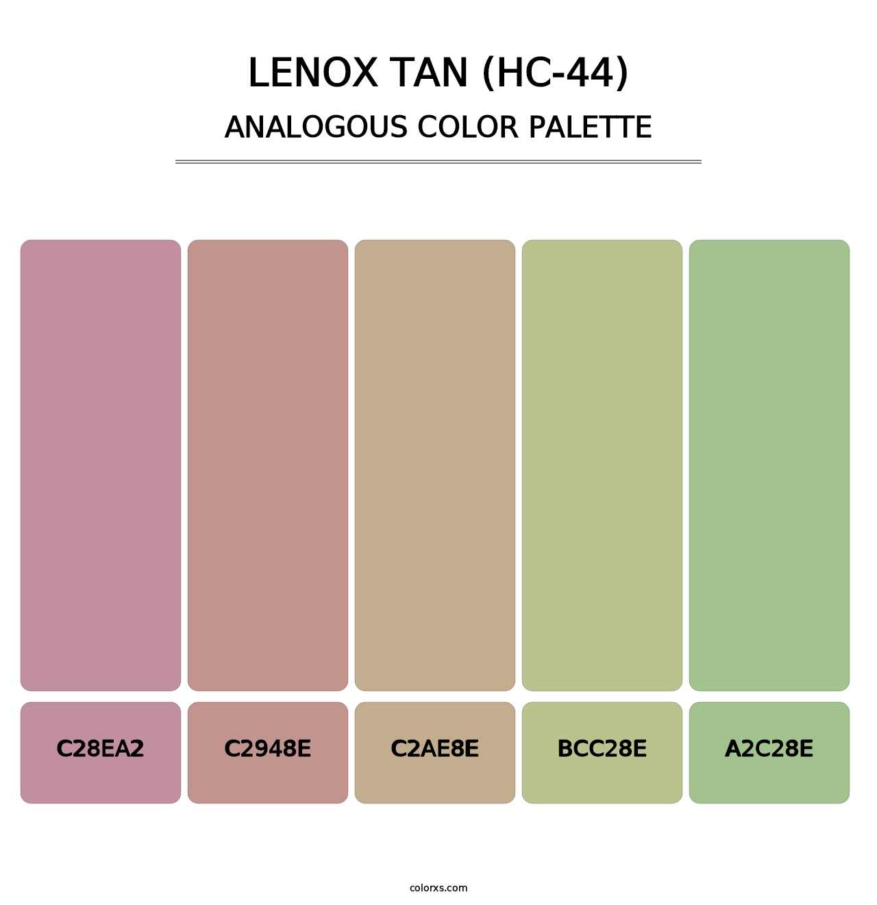 Lenox Tan (HC-44) - Analogous Color Palette