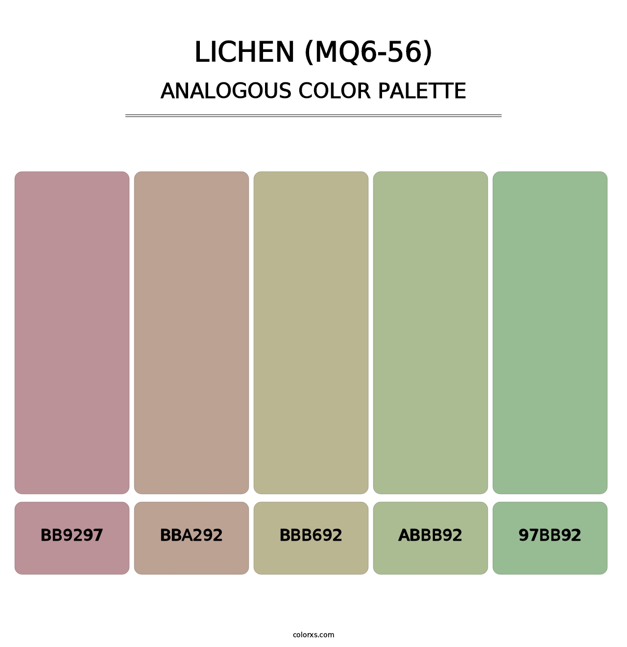 Lichen (MQ6-56) - Analogous Color Palette