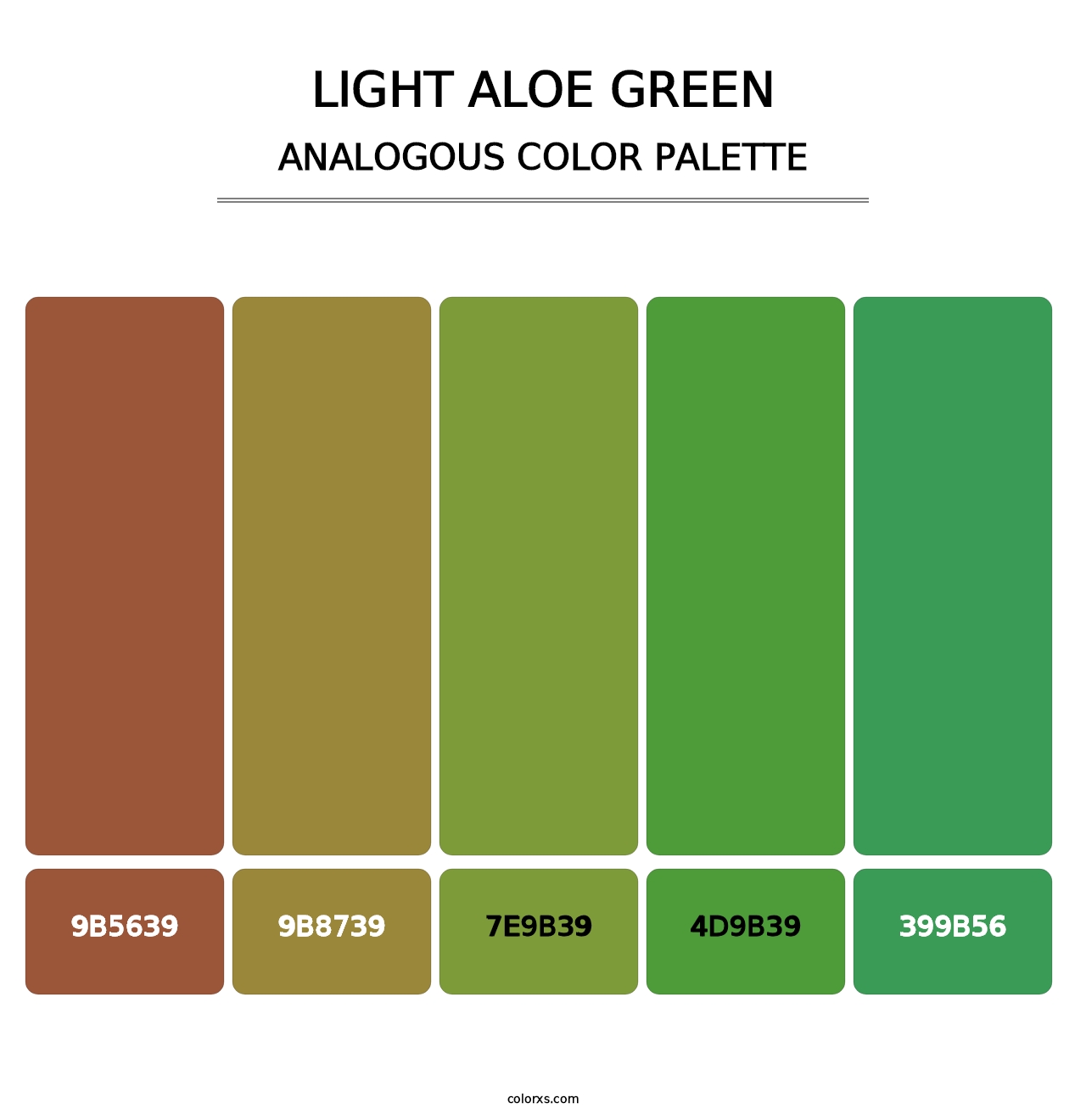 Light Aloe Green - Analogous Color Palette