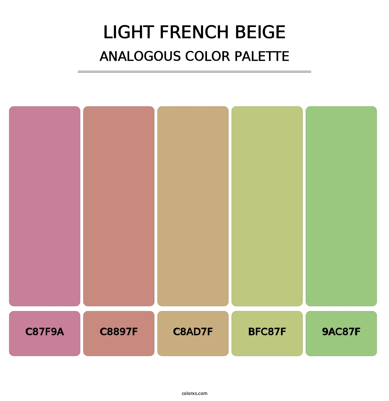 Light French Beige - Analogous Color Palette