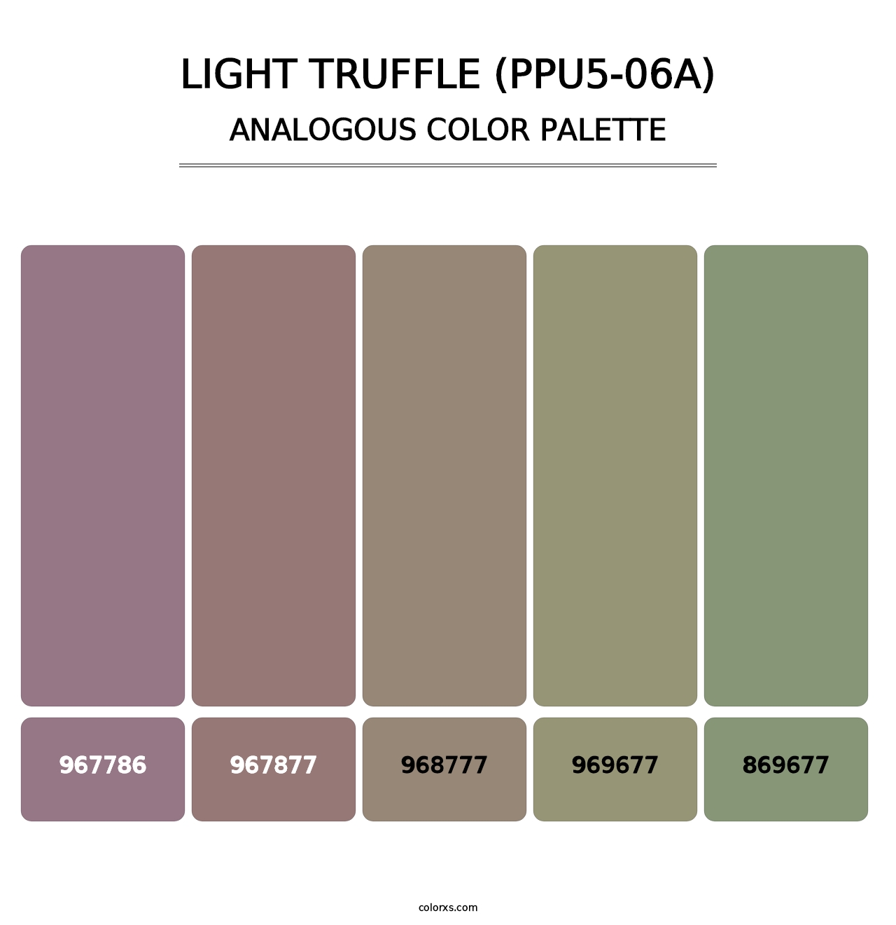Light Truffle (PPU5-06A) - Analogous Color Palette