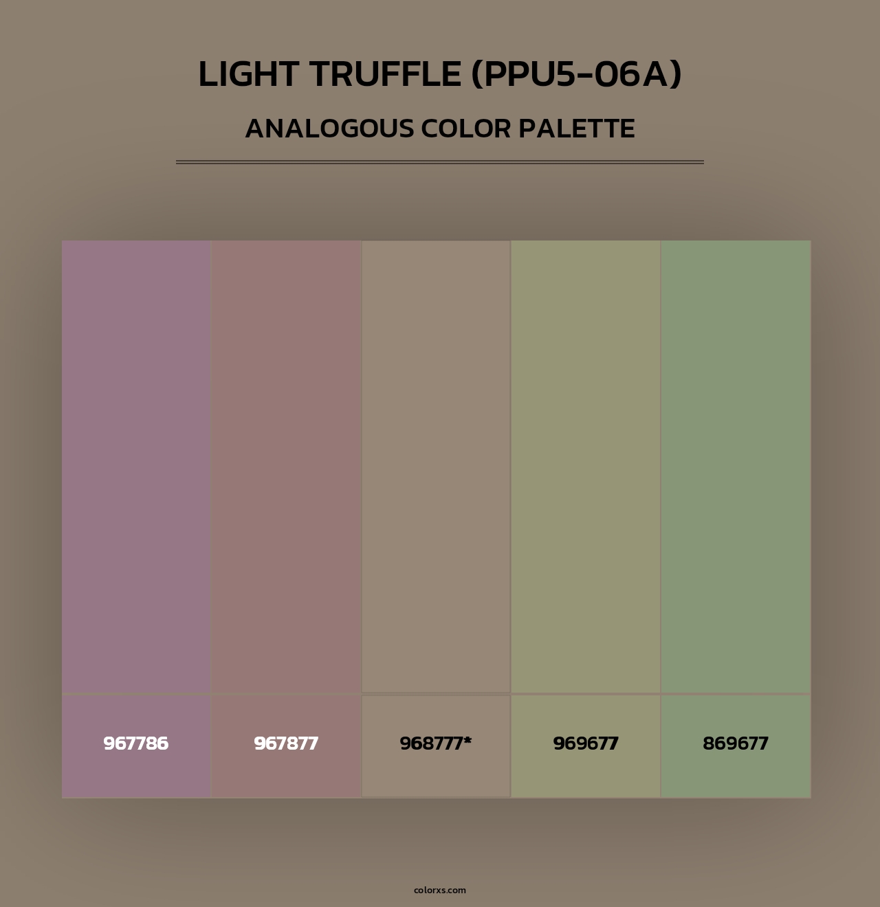 Light Truffle (PPU5-06A) - Analogous Color Palette