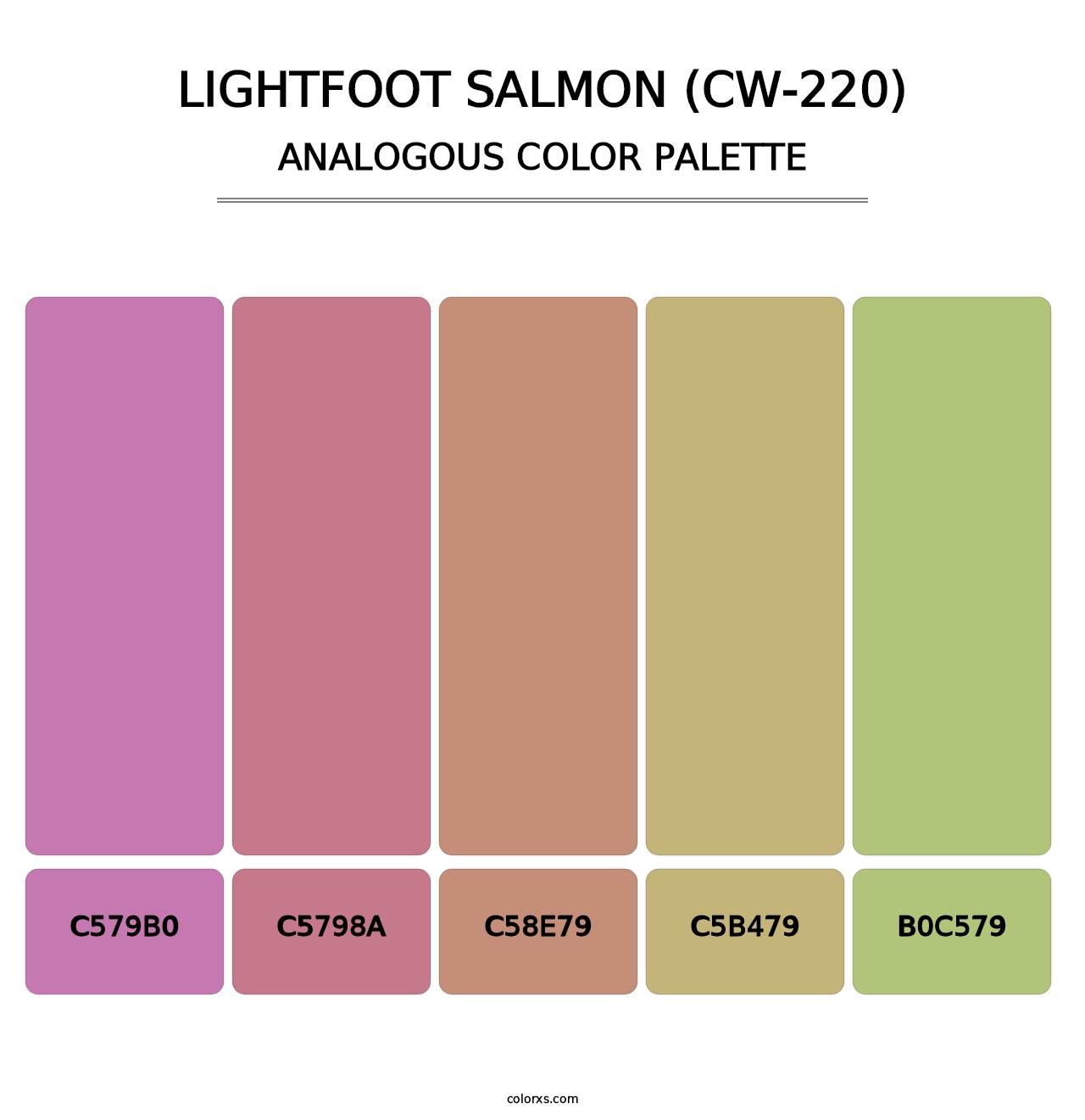 Lightfoot Salmon (CW-220) - Analogous Color Palette