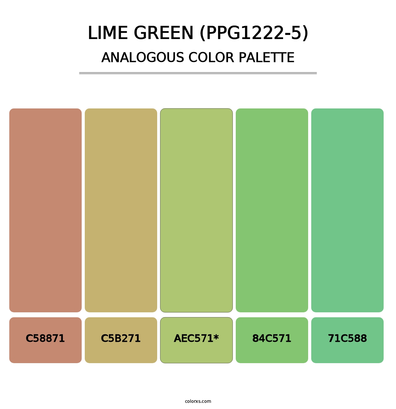 Lime Green (PPG1222-5) - Analogous Color Palette