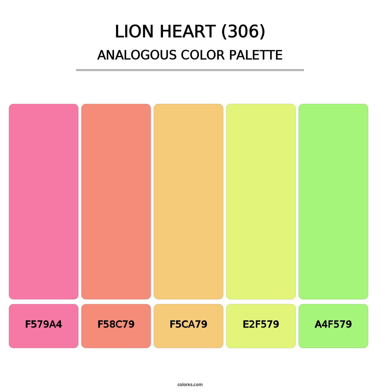 Lion Heart (306) - Analogous Color Palette