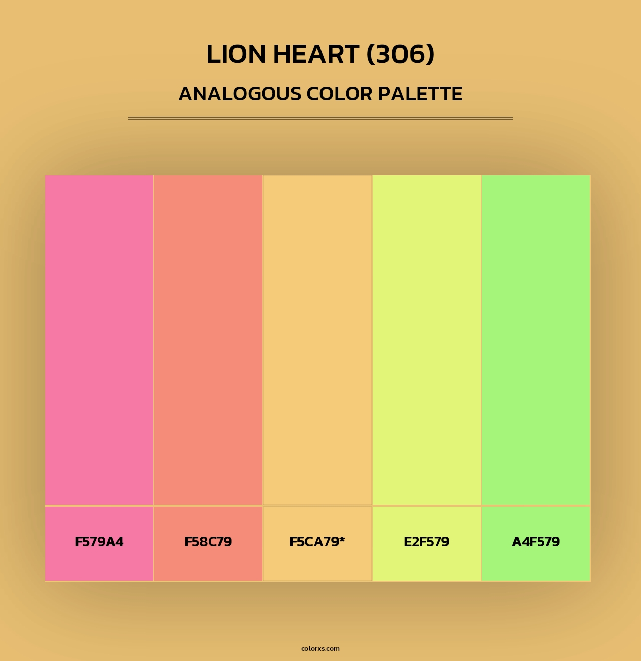 Lion Heart (306) - Analogous Color Palette