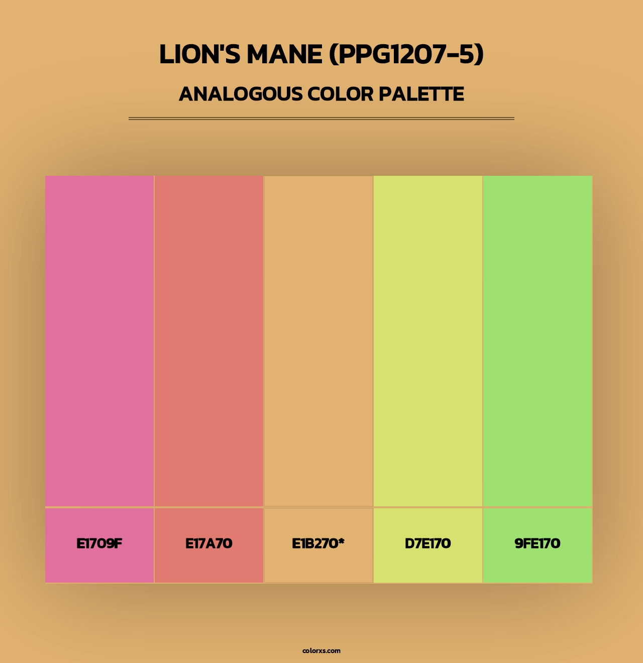 Lion's Mane (PPG1207-5) - Analogous Color Palette