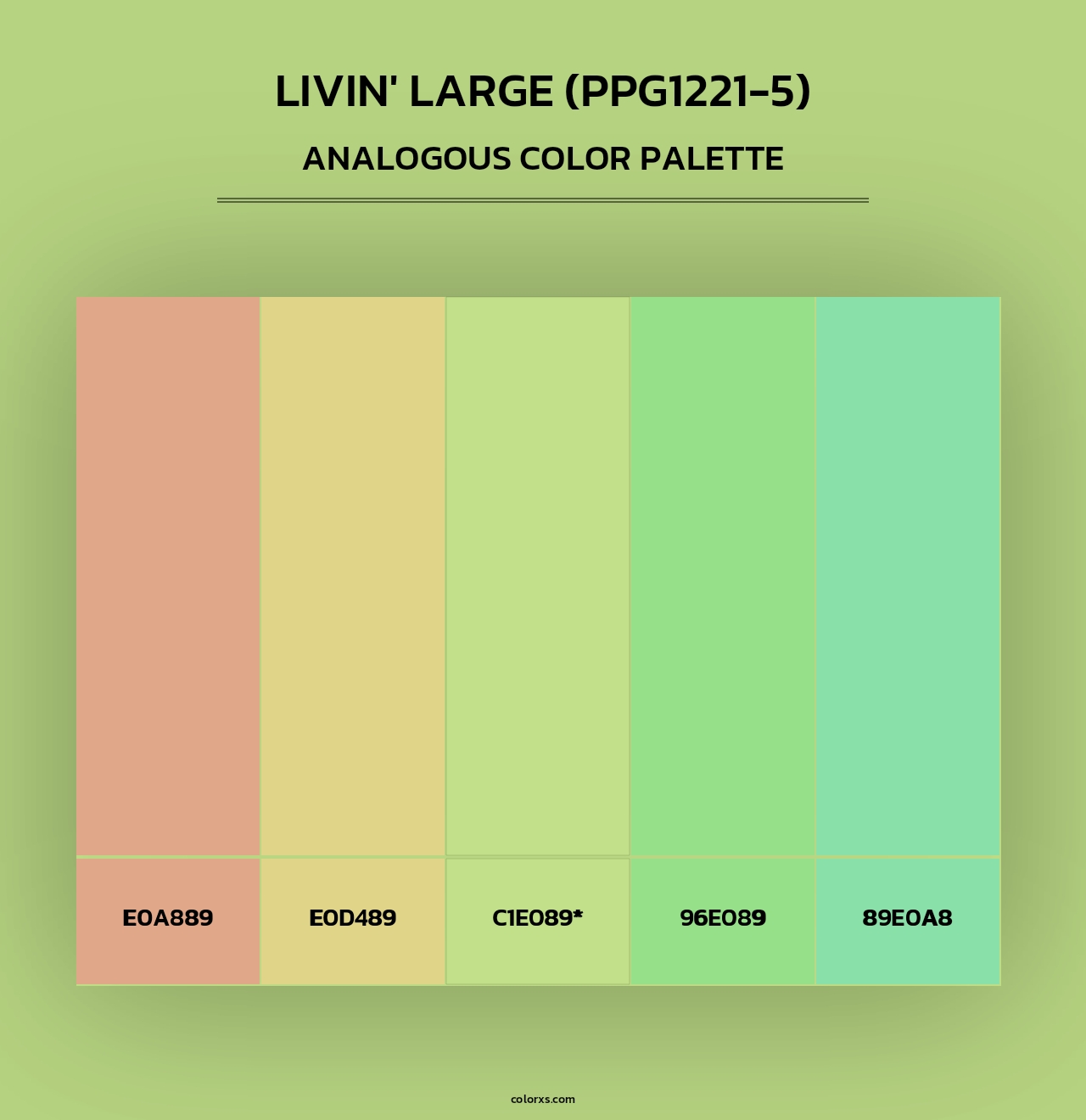 Livin' Large (PPG1221-5) - Analogous Color Palette