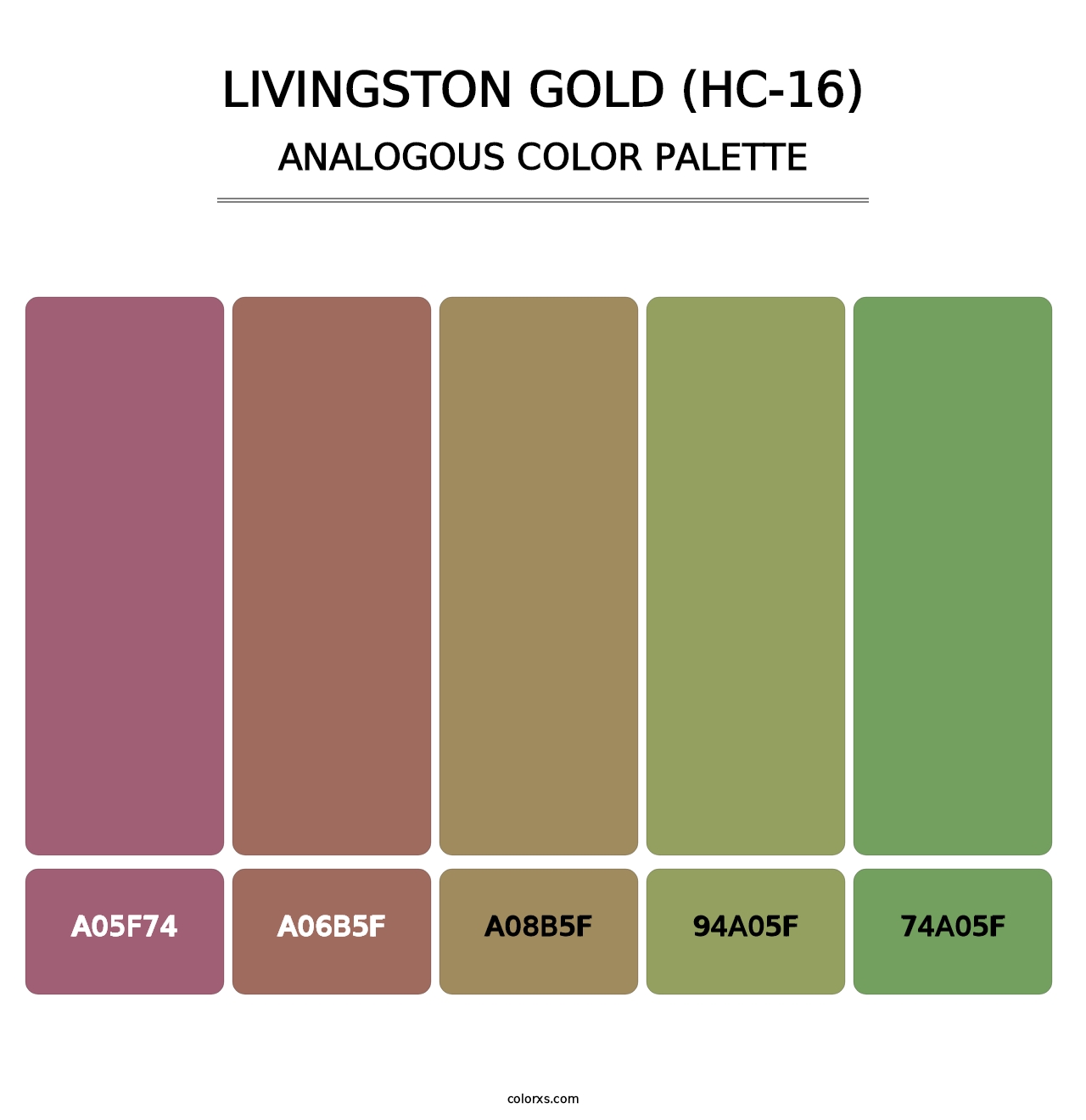 Livingston Gold (HC-16) - Analogous Color Palette