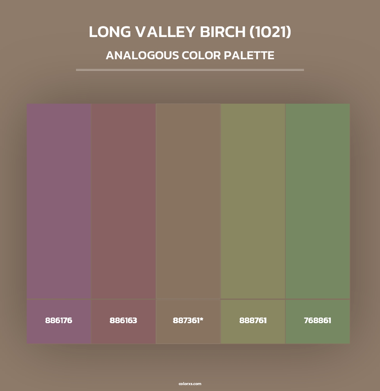 Long Valley Birch (1021) - Analogous Color Palette