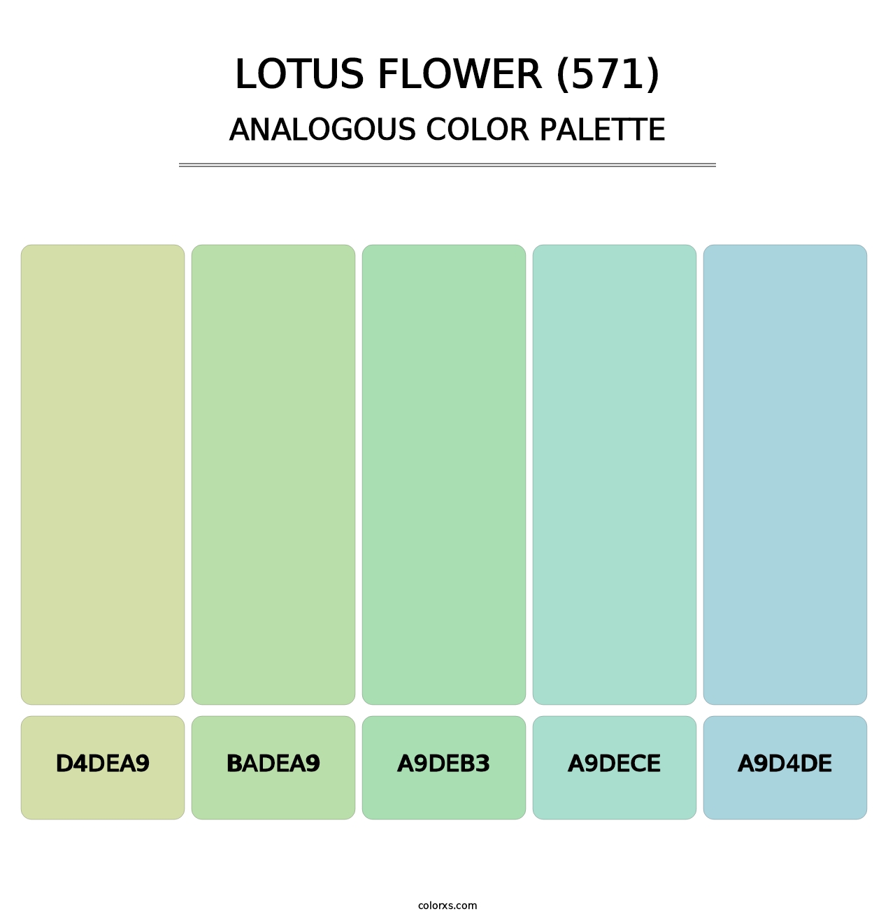 Lotus Flower (571) - Analogous Color Palette