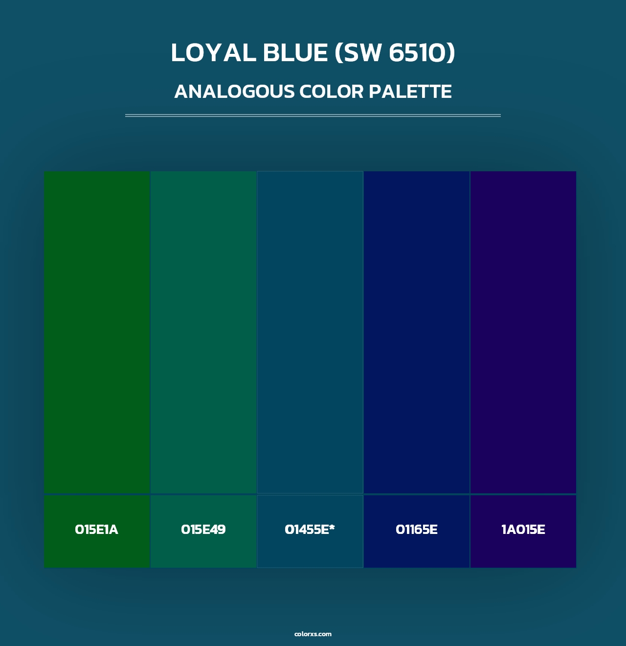 Loyal Blue (SW 6510) - Analogous Color Palette