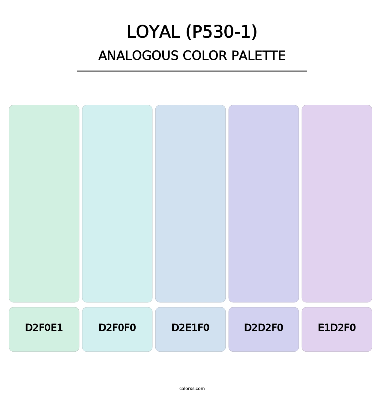 Loyal (P530-1) - Analogous Color Palette