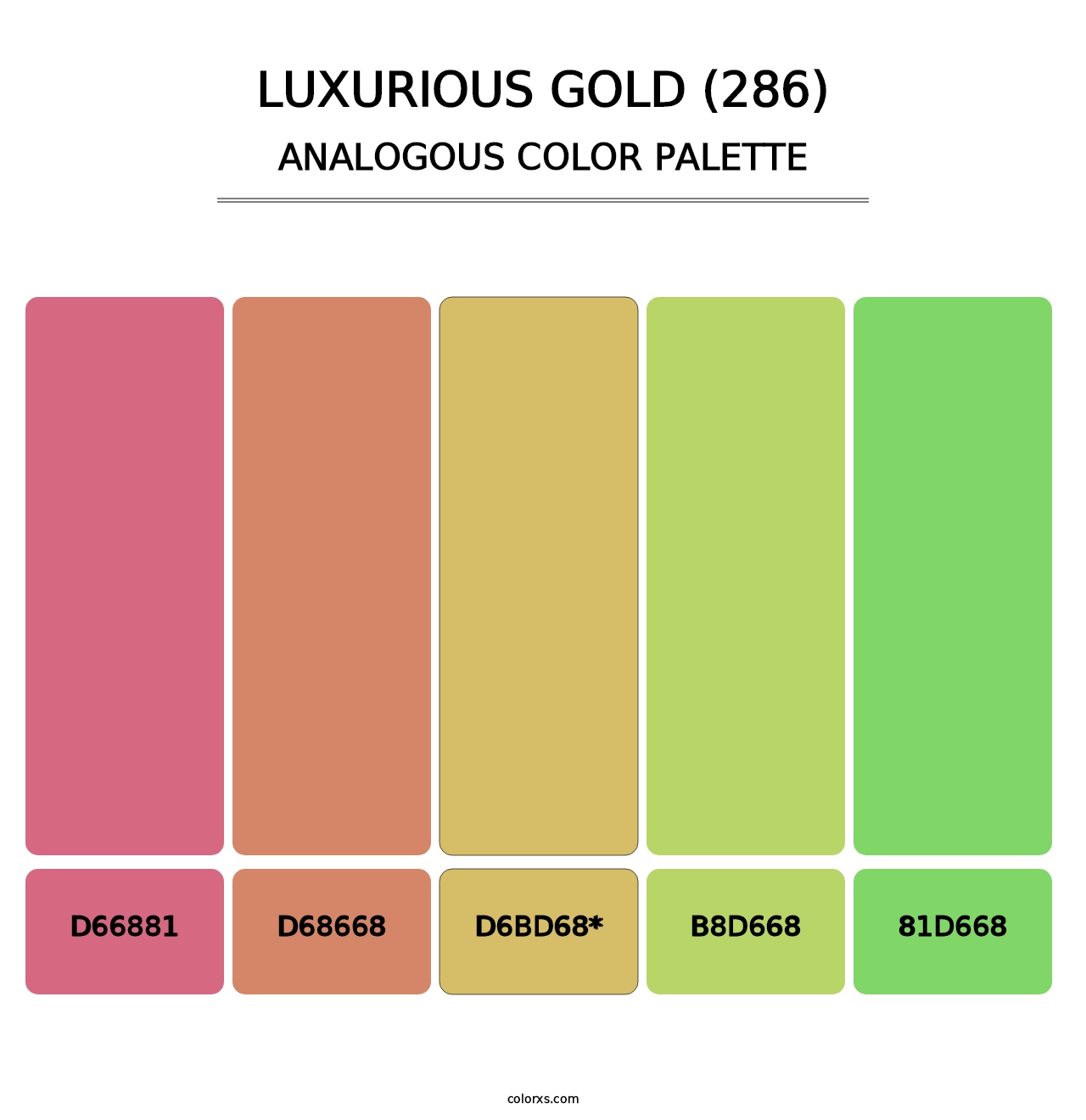 Luxurious Gold (286) - Analogous Color Palette