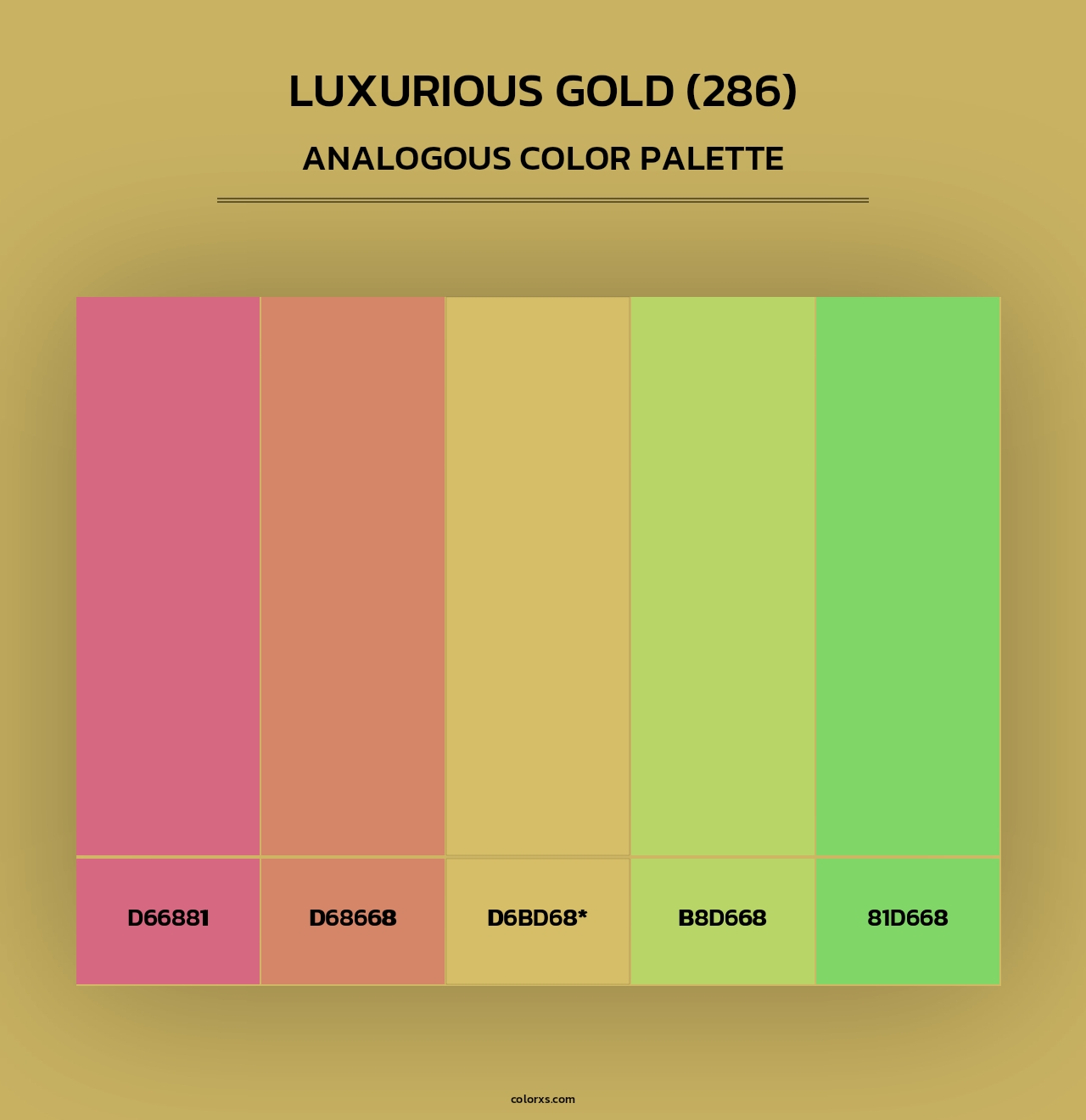 Luxurious Gold (286) - Analogous Color Palette