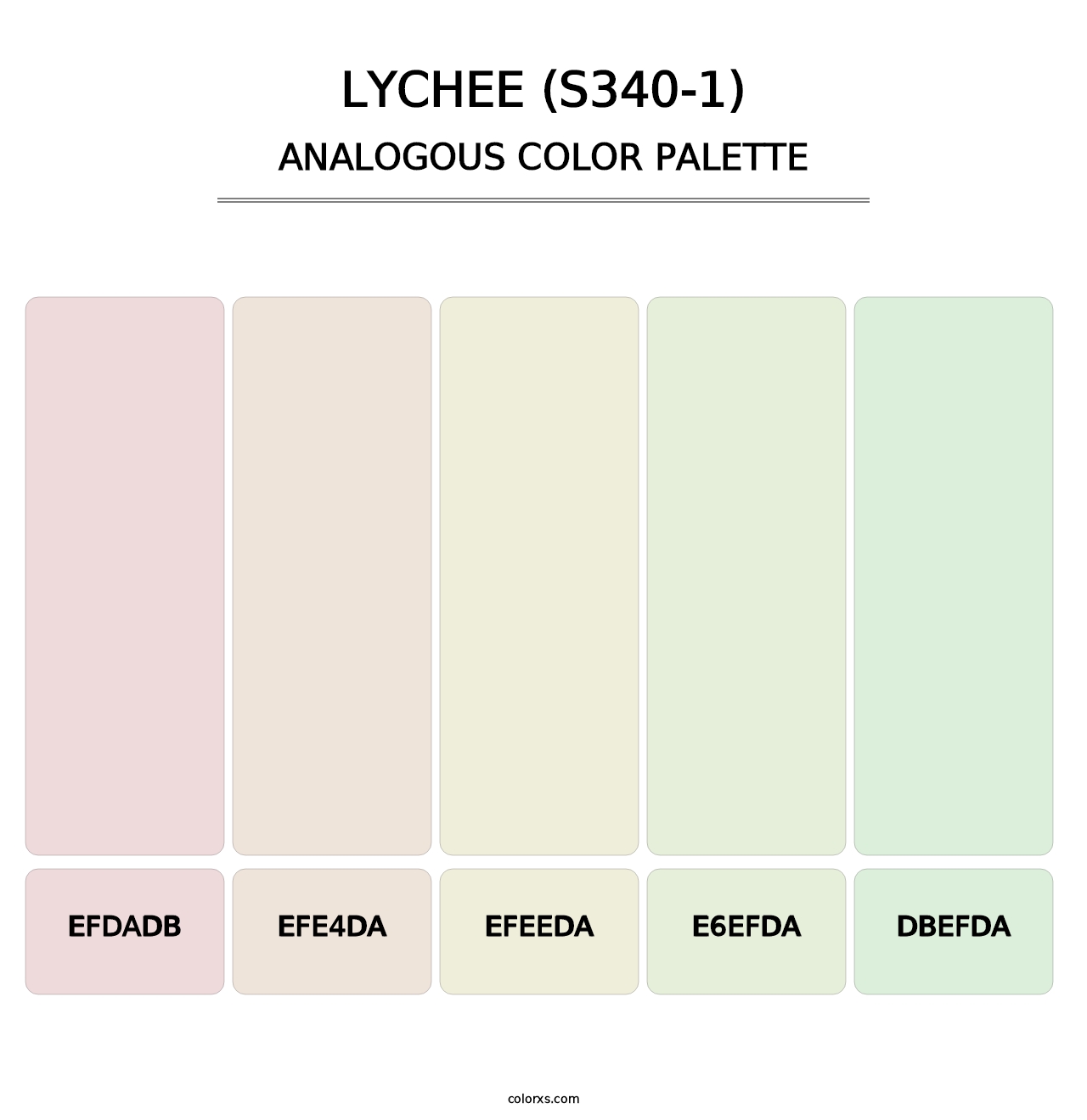 Lychee (S340-1) - Analogous Color Palette