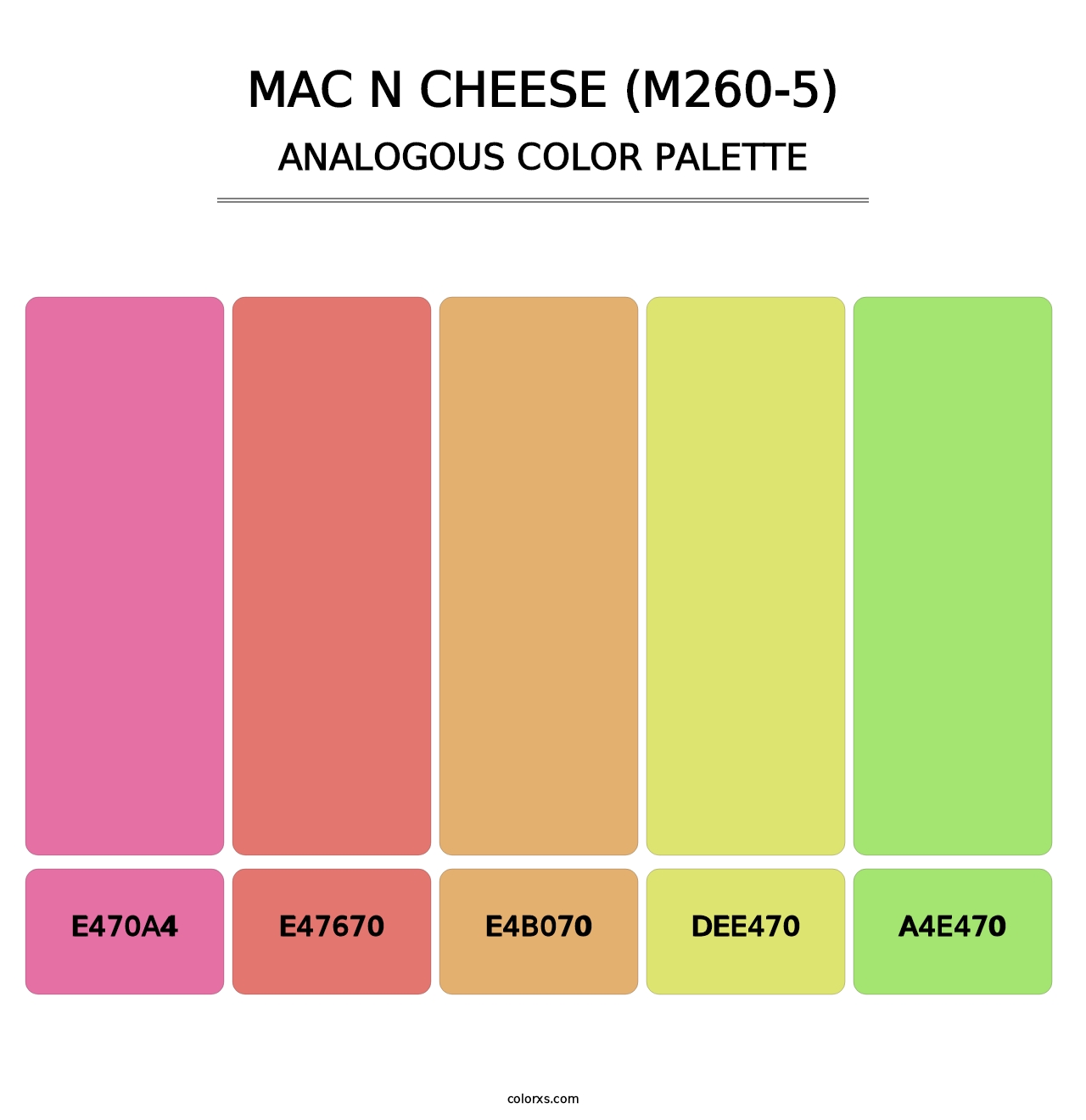 Mac N Cheese (M260-5) - Analogous Color Palette