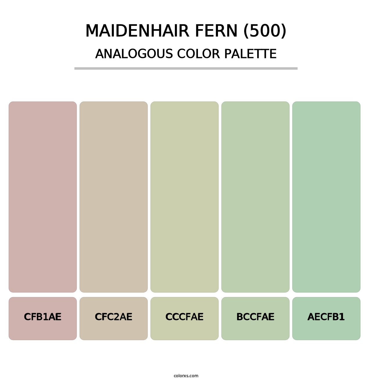 Maidenhair Fern (500) - Analogous Color Palette