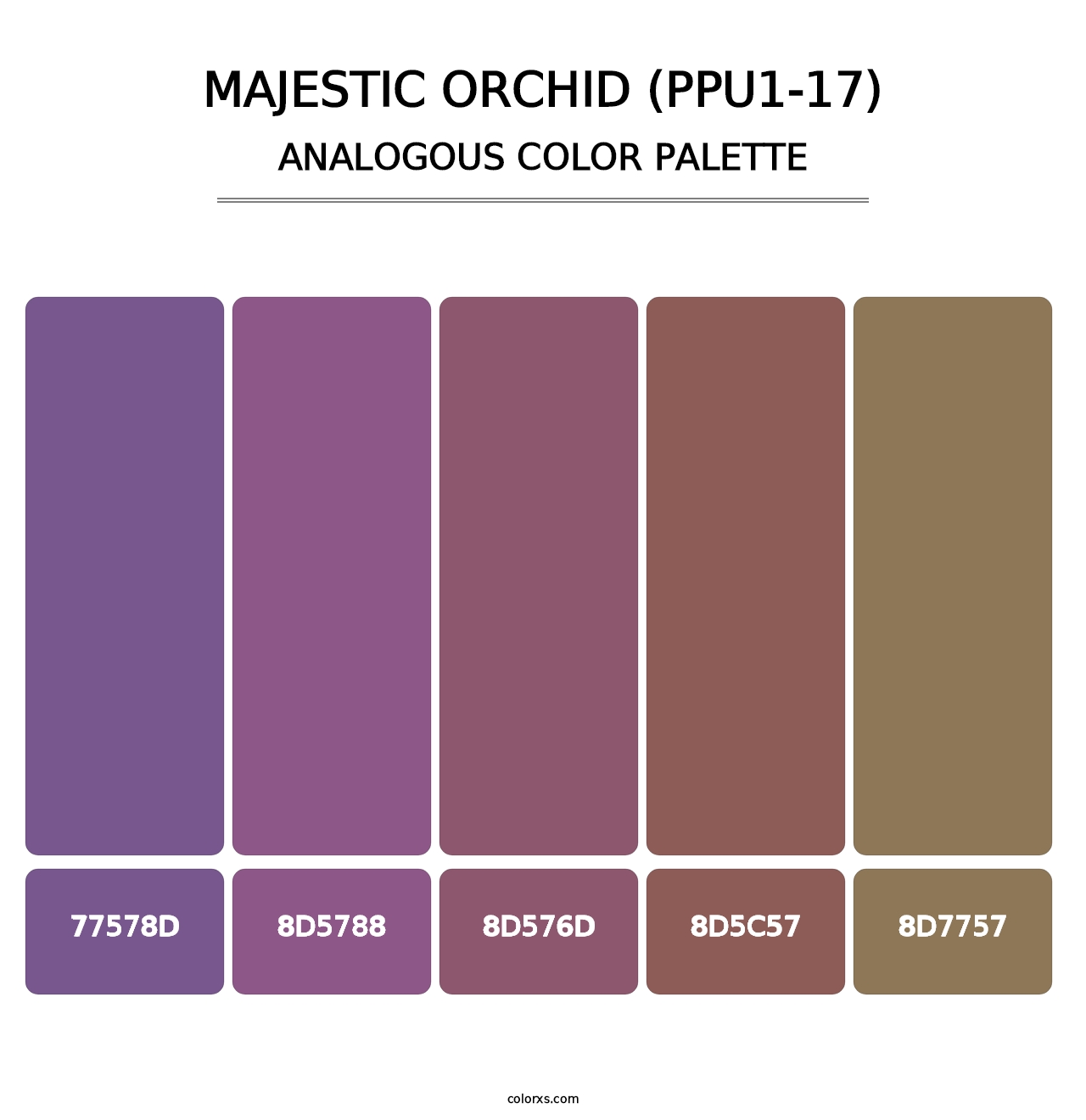 Majestic Orchid (PPU1-17) - Analogous Color Palette