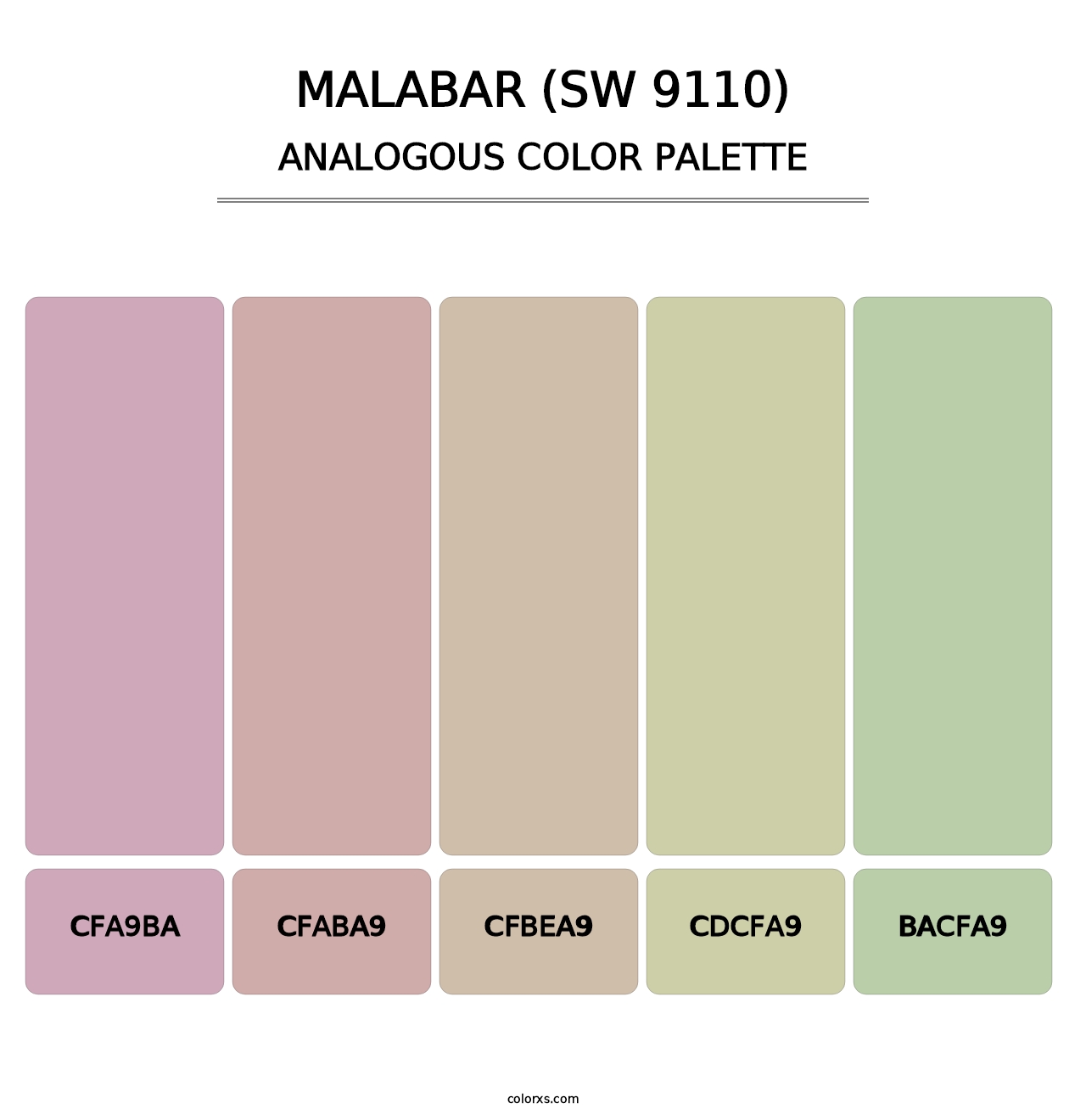 Malabar (SW 9110) - Analogous Color Palette