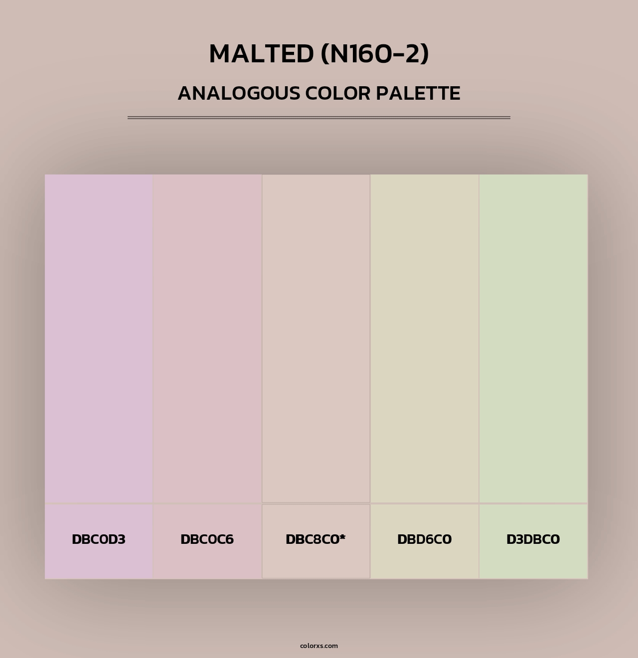Malted (N160-2) - Analogous Color Palette