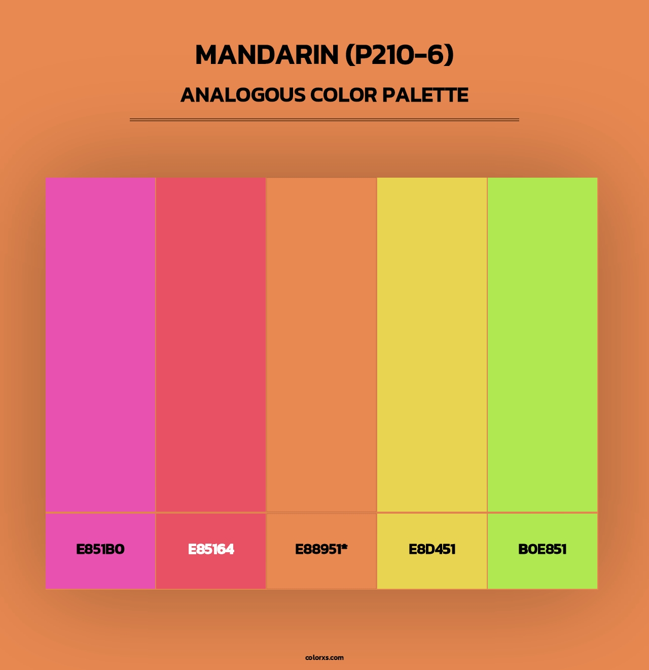 Mandarin (P210-6) - Analogous Color Palette
