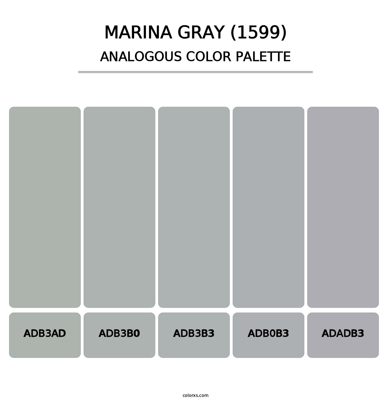 Marina Gray (1599) - Analogous Color Palette