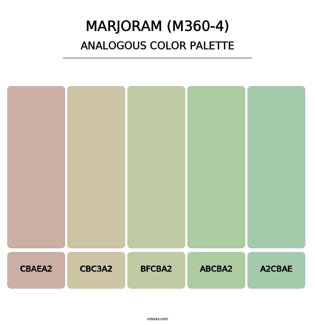 Marjoram (M360-4) - Analogous Color Palette