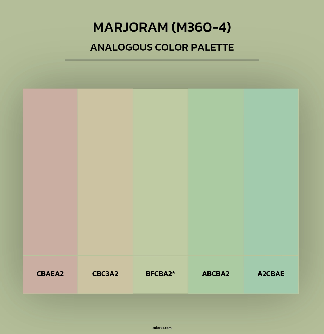 Marjoram (M360-4) - Analogous Color Palette