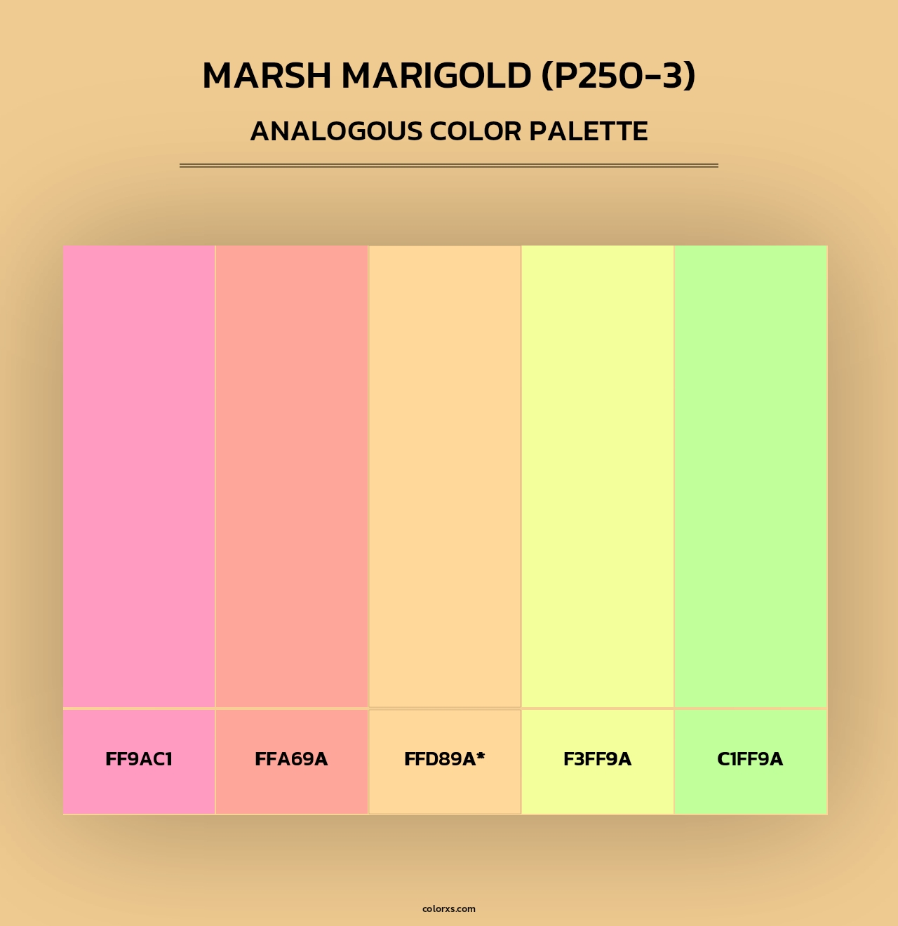 Marsh Marigold (P250-3) - Analogous Color Palette