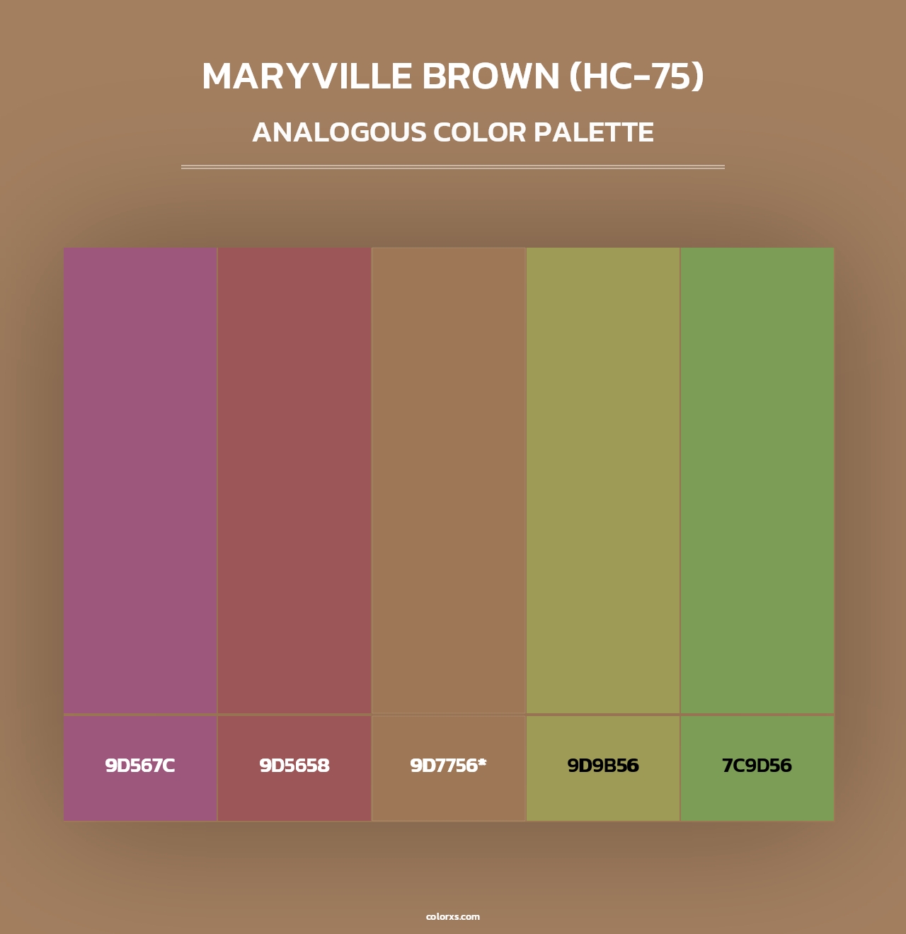 Maryville Brown (HC-75) - Analogous Color Palette