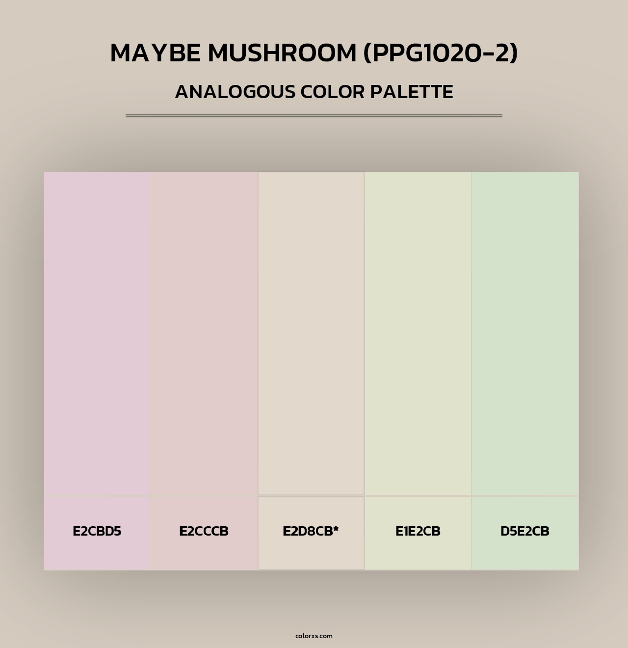 Maybe Mushroom (PPG1020-2) - Analogous Color Palette