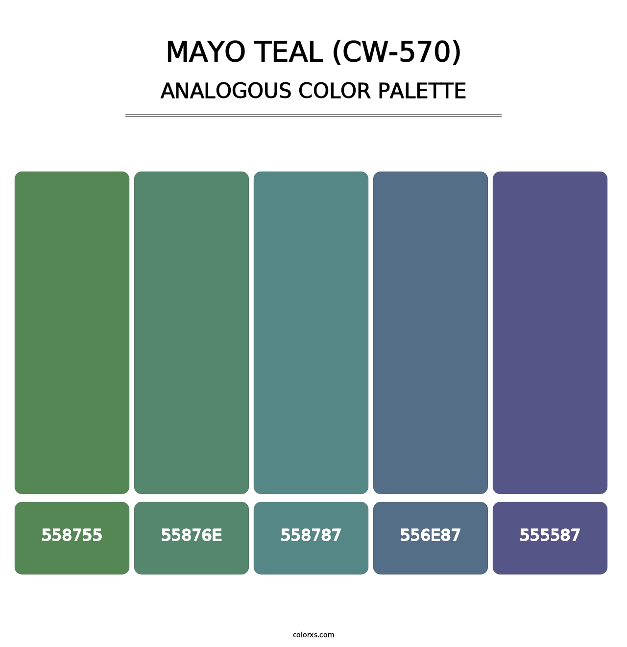 Mayo Teal (CW-570) - Analogous Color Palette