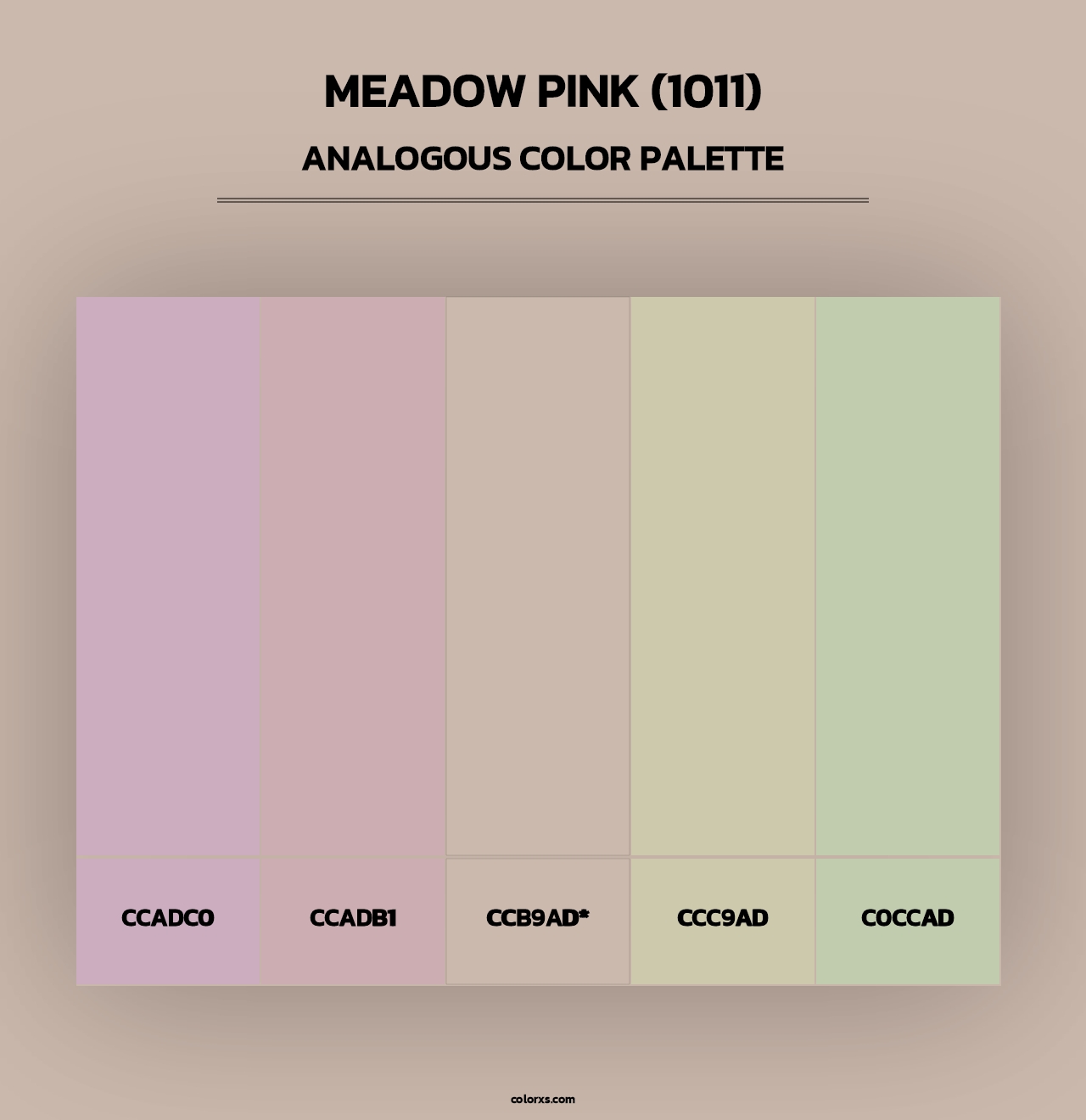 Meadow Pink (1011) - Analogous Color Palette