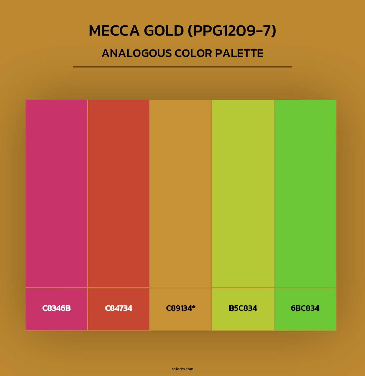 Mecca Gold (PPG1209-7) - Analogous Color Palette