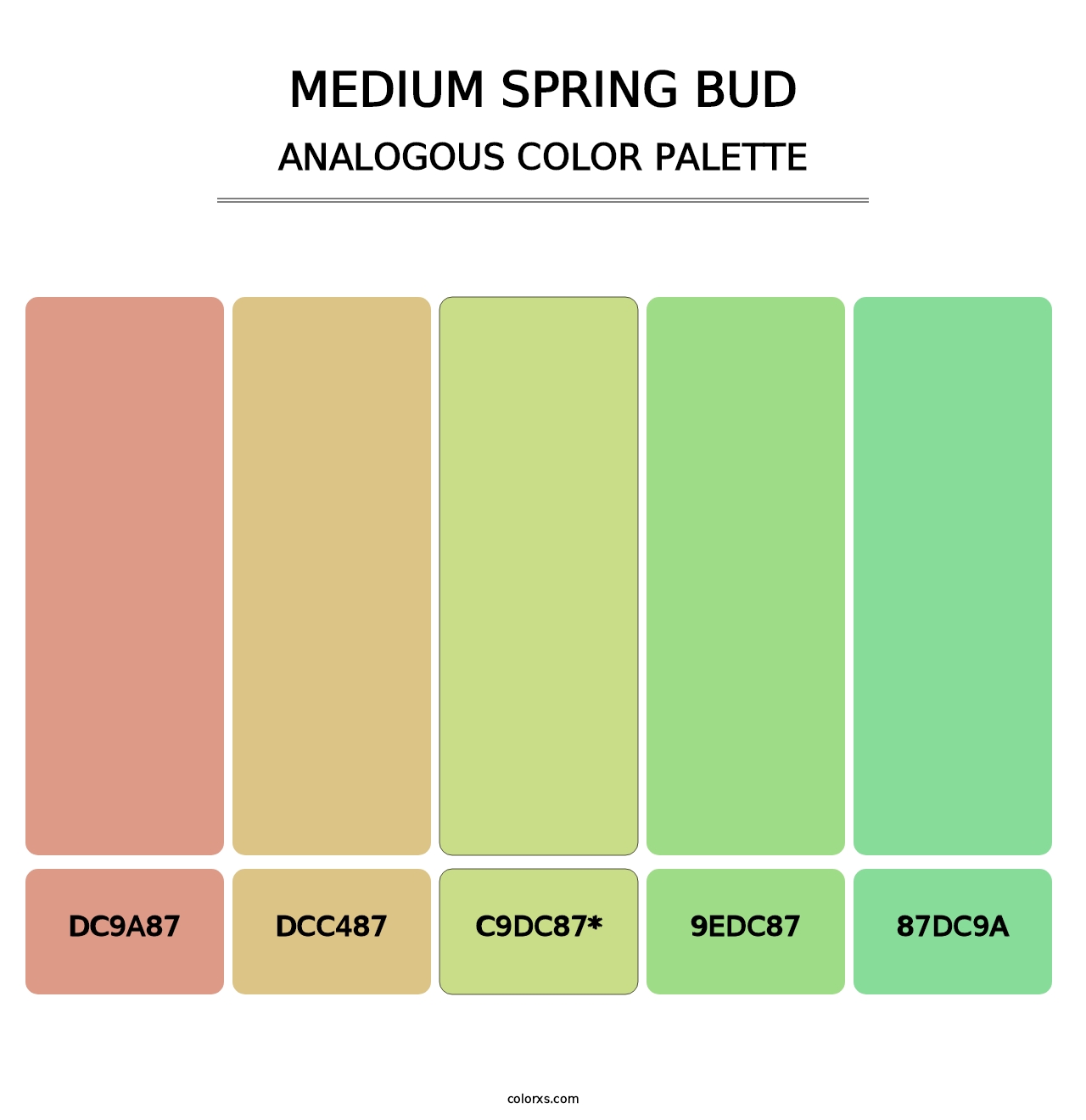 Medium Spring Bud - Analogous Color Palette