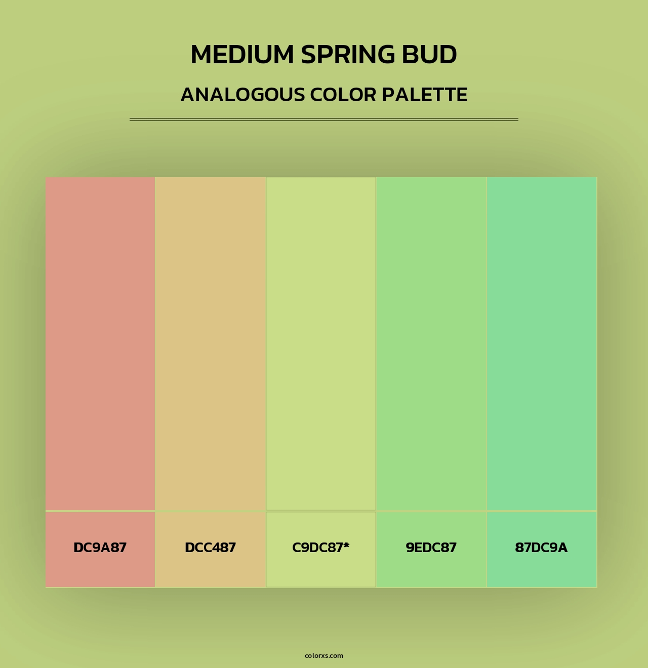 Medium Spring Bud - Analogous Color Palette