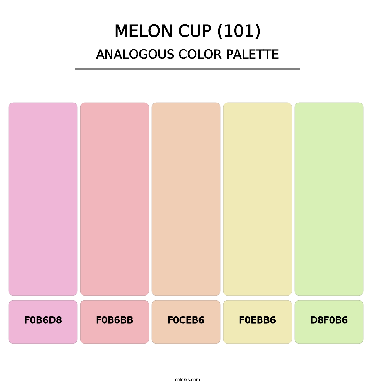Melon Cup (101) - Analogous Color Palette